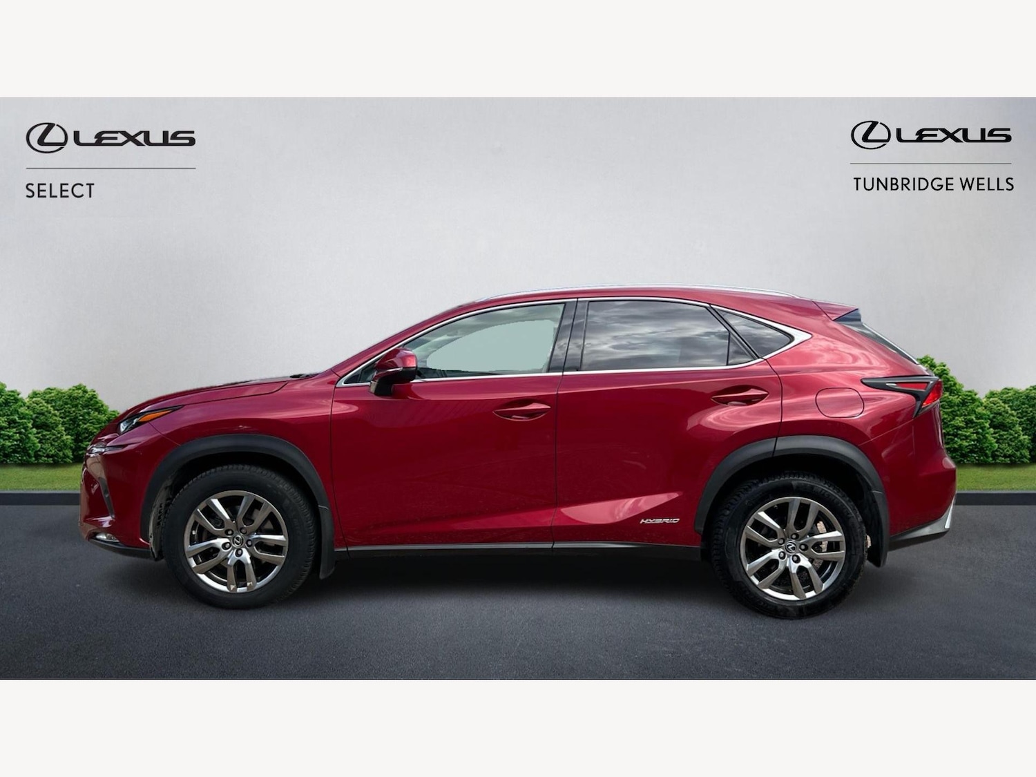 Used Lexus NX 2018 for sale - 76201335: Photo 3