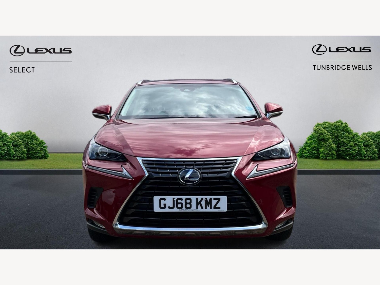 Used Lexus NX 2018 for sale - 76201335: Photo 6