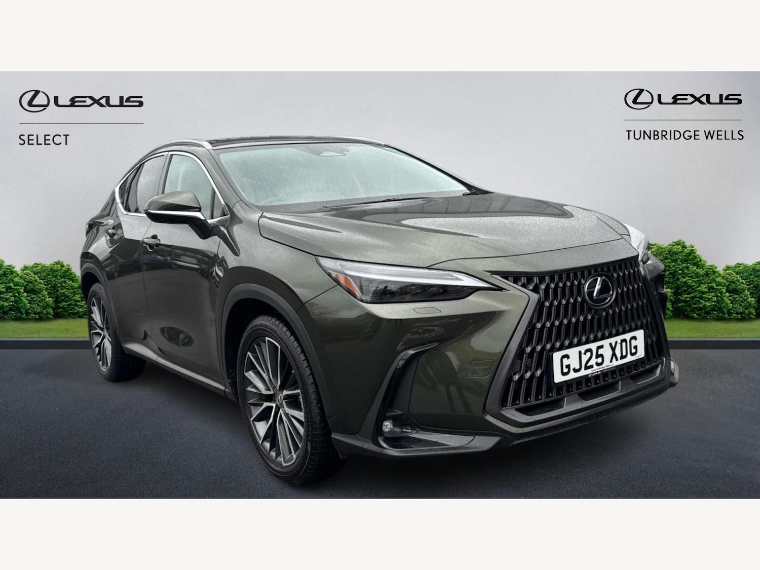 Used Lexus NX 2025 for sale - 76499250: Photo 1
