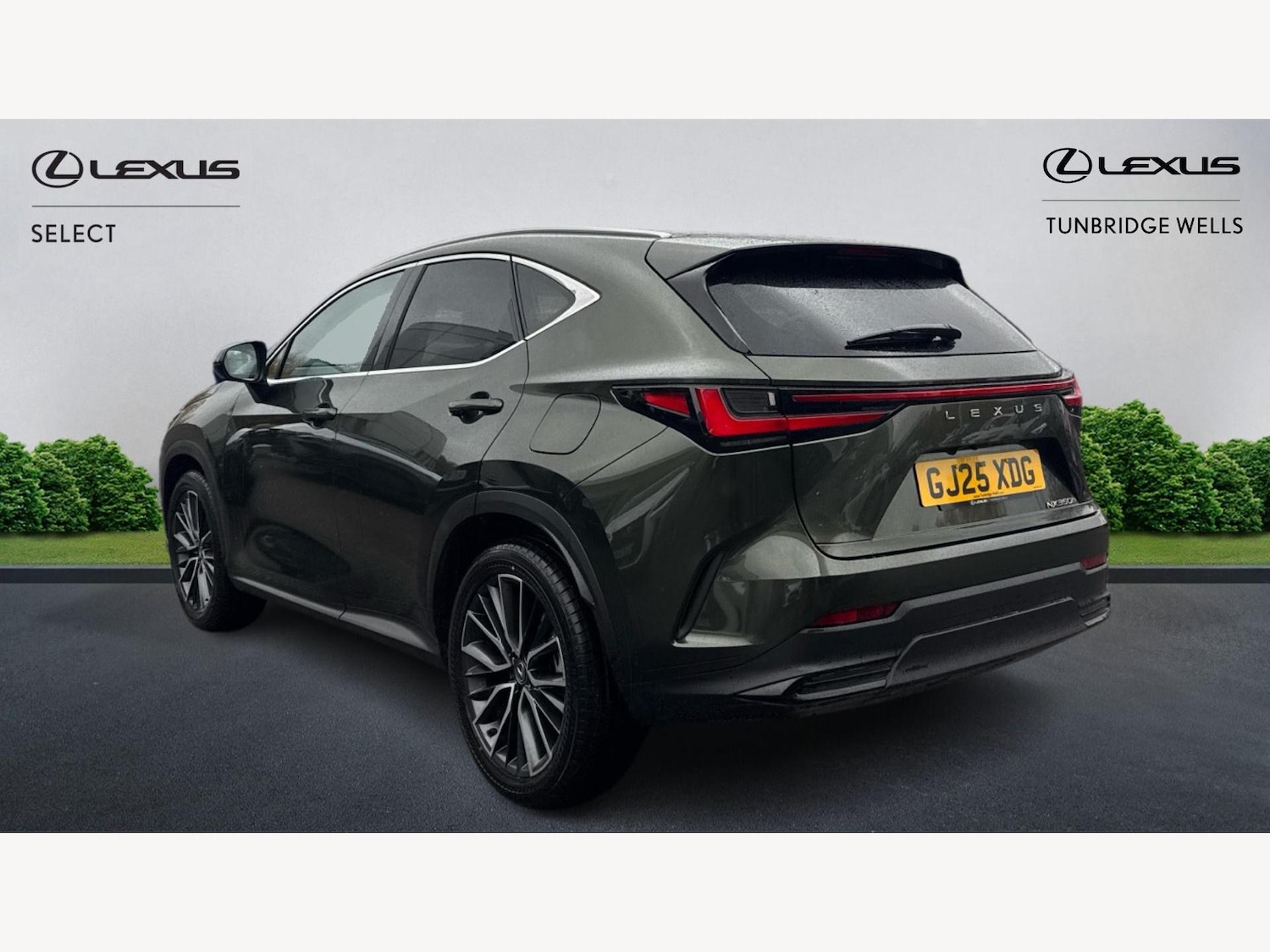 Used Lexus NX 2025 for sale - 76499250: Photo 2