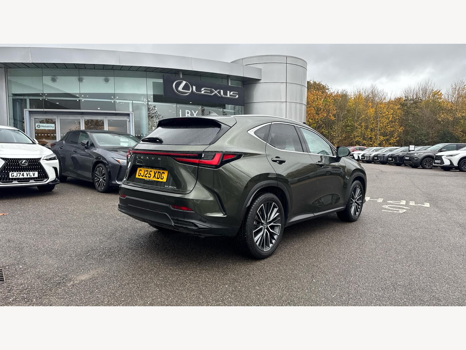 Used Lexus NX 2025 for sale - 76499250: Photo 20