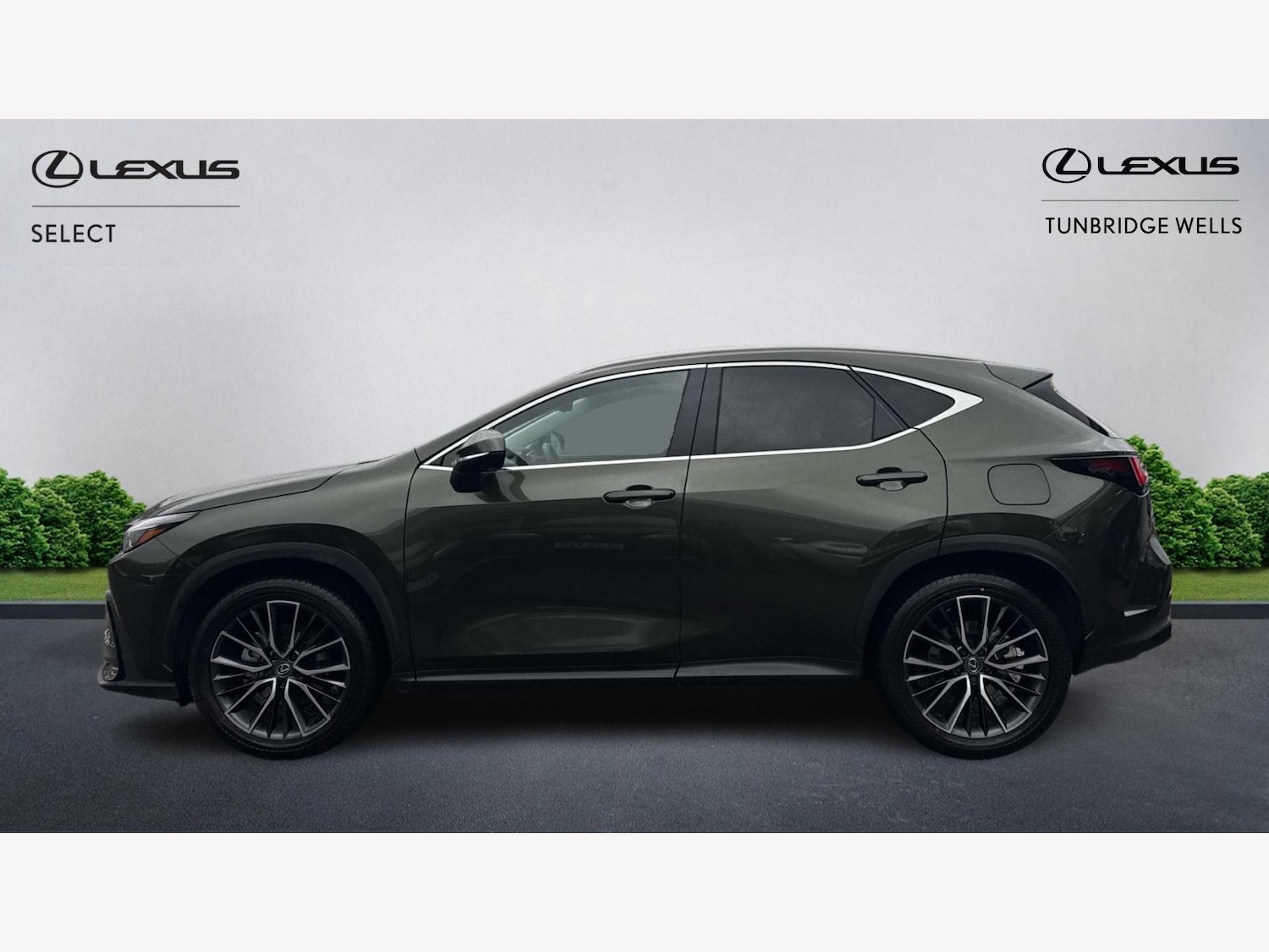 Used Lexus NX 2025 for sale - 76499250: Photo 3