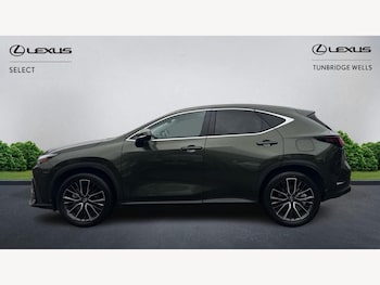 Used Lexus NX 2025 for sale - 76499250: Photo