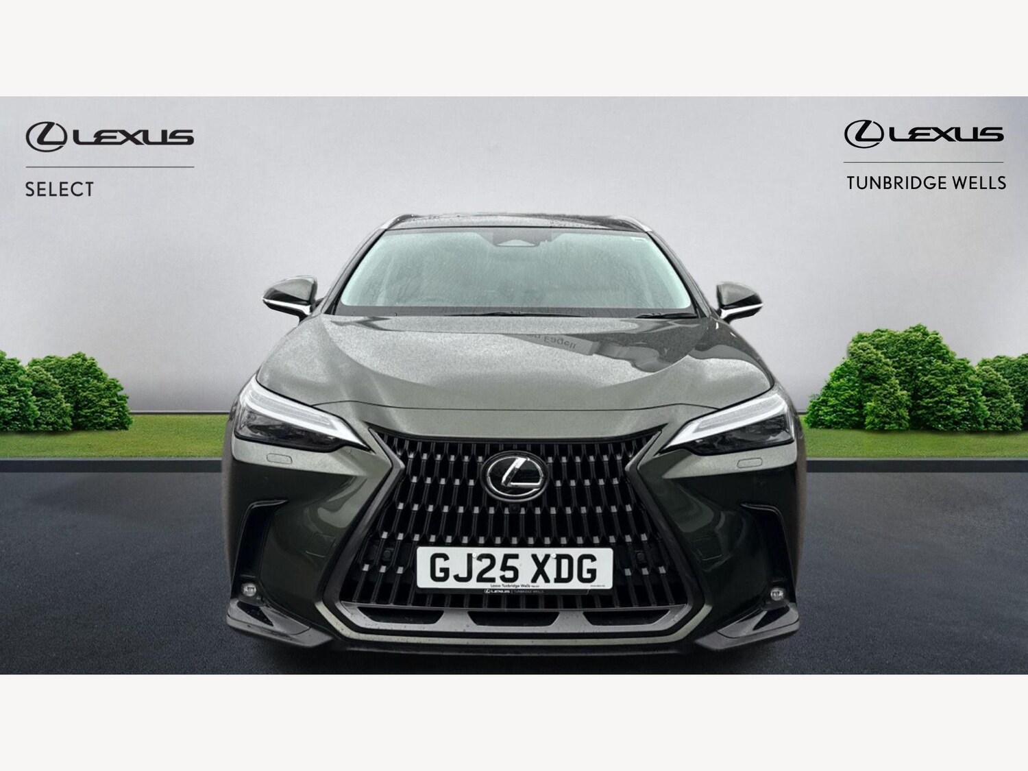 Used Lexus NX 2025 for sale - 76499250: Photo 6