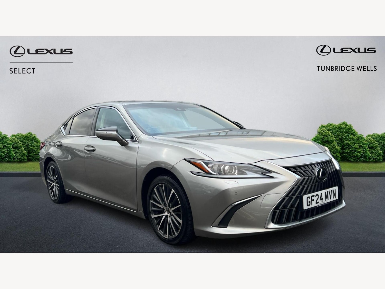 Used Lexus ES 2024 for sale - 76671514: Photo 1
