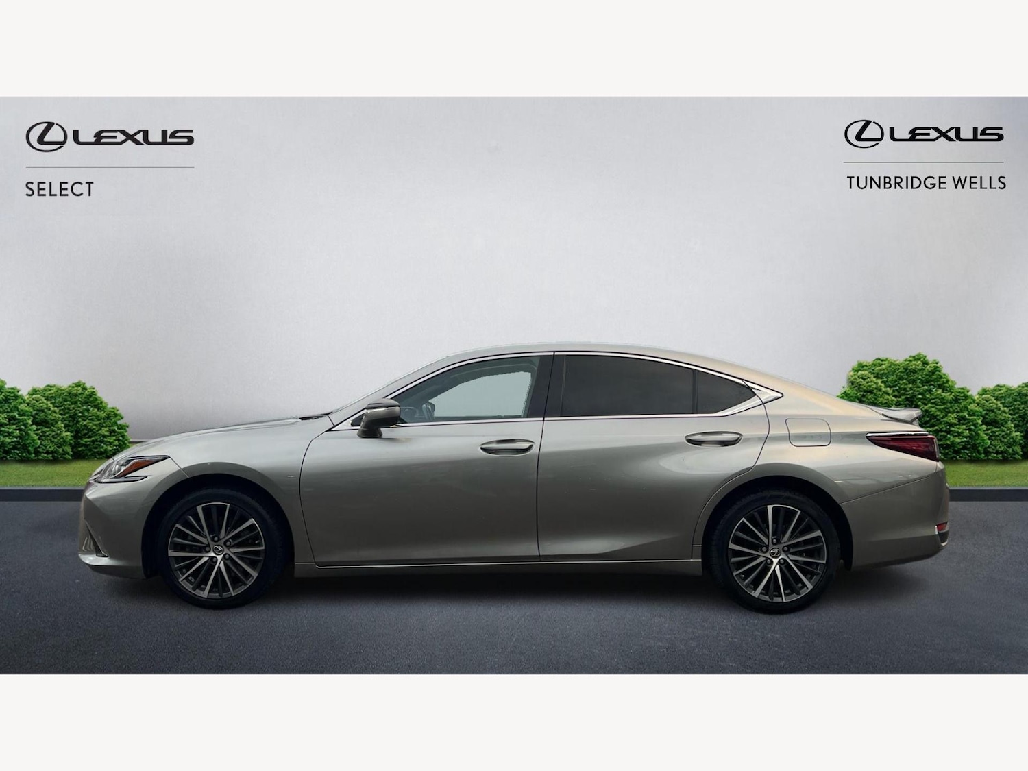 Used Lexus ES 2024 for sale - 76671514: Photo 3