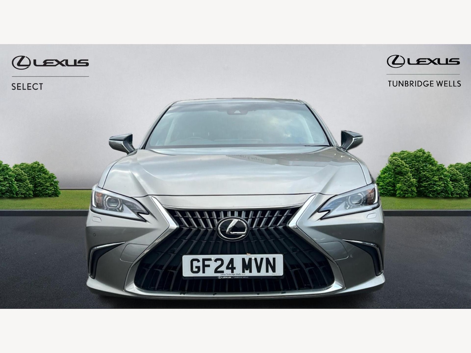 Used Lexus ES 2024 for sale - 76671514: Photo 6