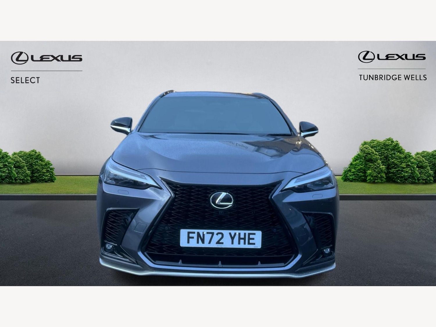 Used Lexus NX 2022 for sale - 77351937: Photo 6