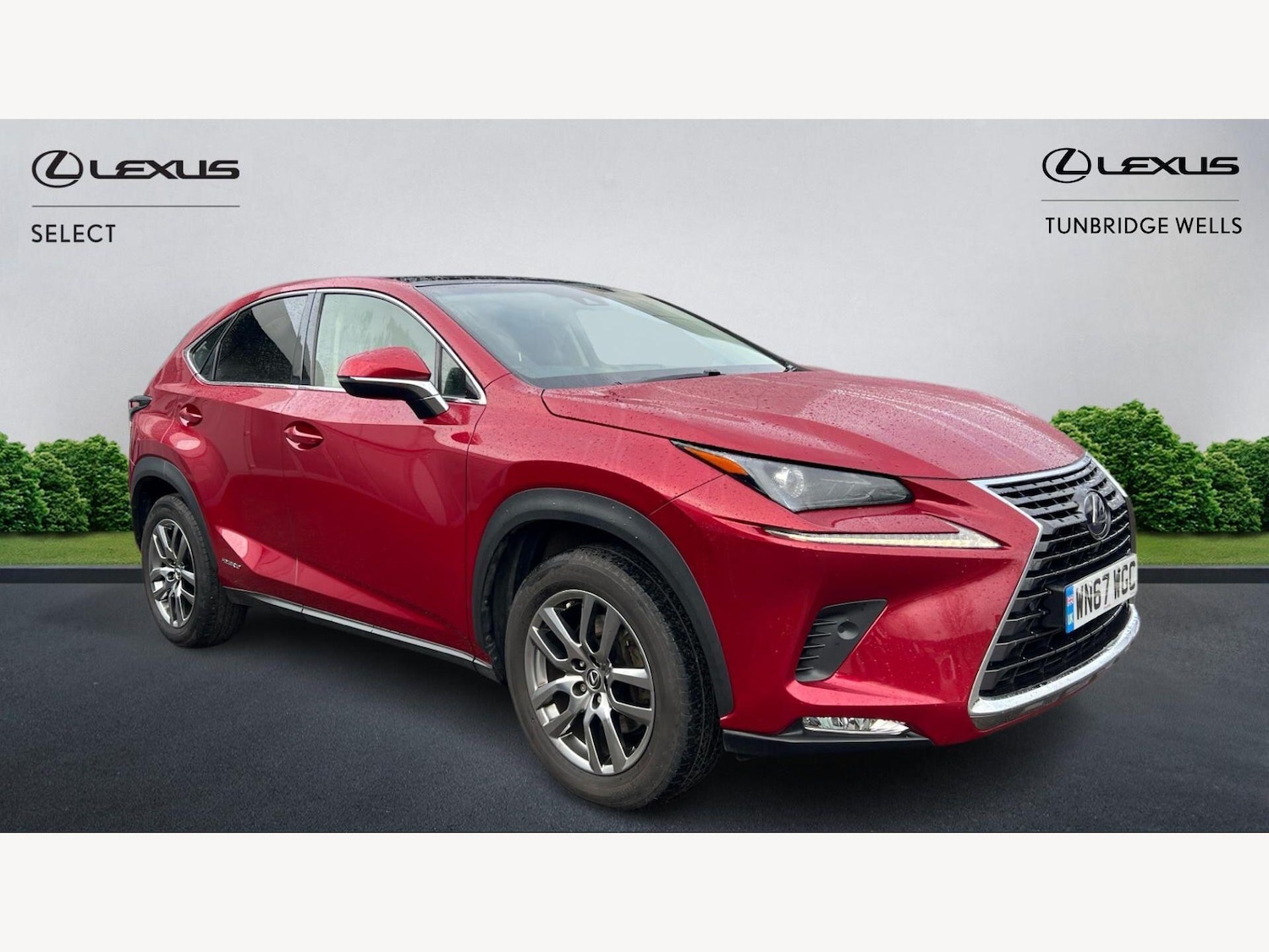 Used Lexus NX 2018 for sale - 77646978: Photo 1