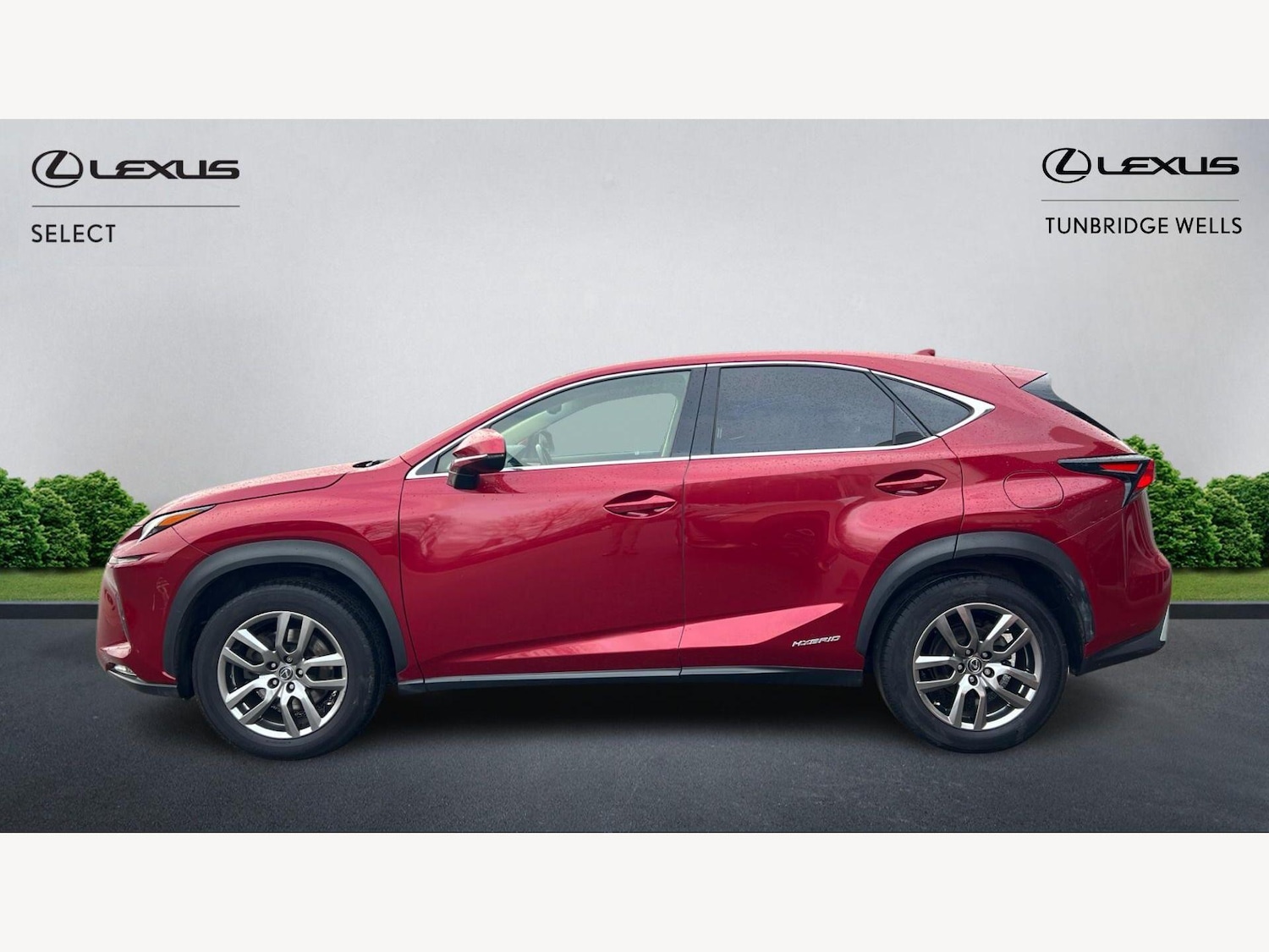 Used Lexus NX 2018 for sale - 77646978: Photo 3