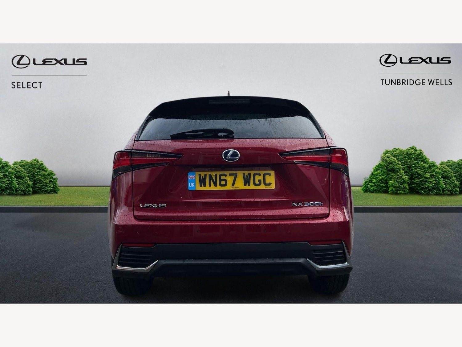 Used Lexus NX 2018 for sale - 77646978: Photo 7