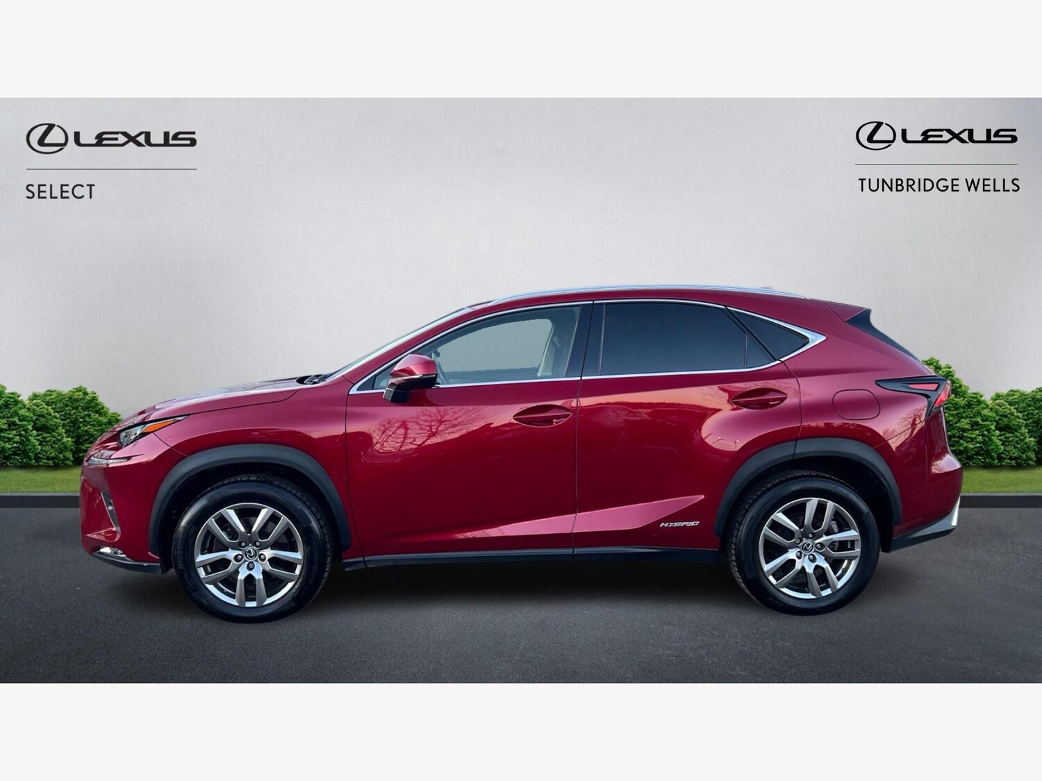 Used Lexus NX 2019 for sale - 77254667: Photo 3