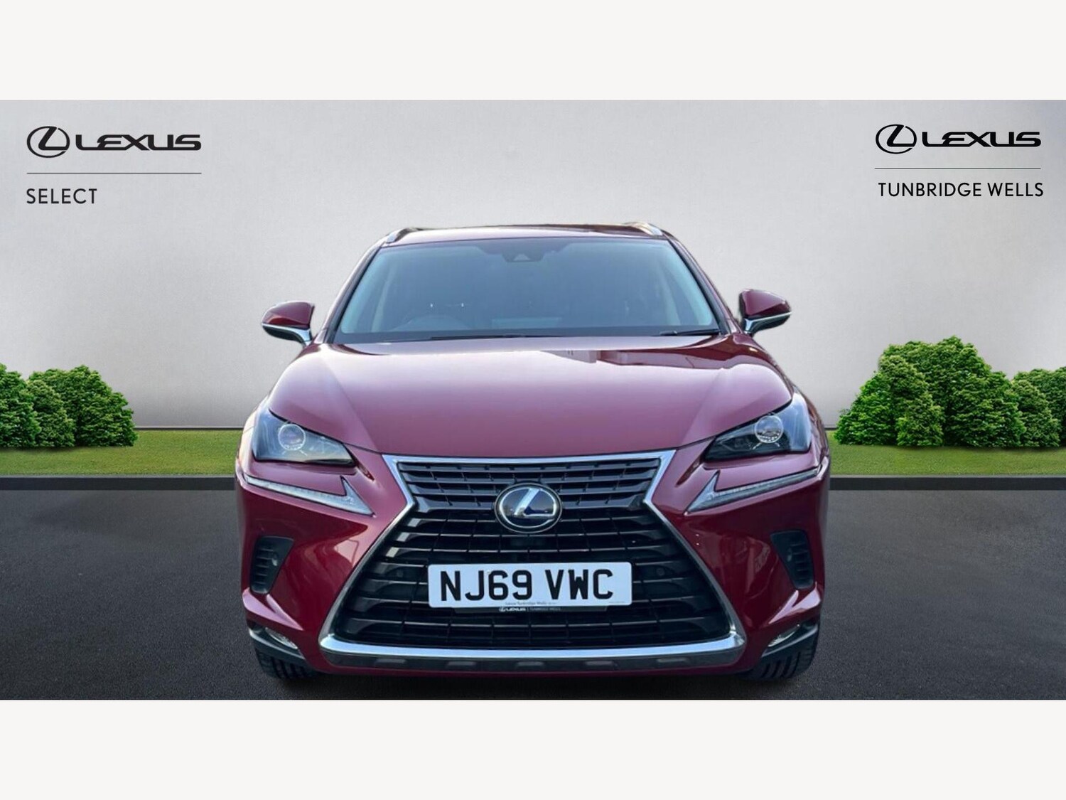 Used Lexus NX 2019 for sale - 77254667: Photo 6