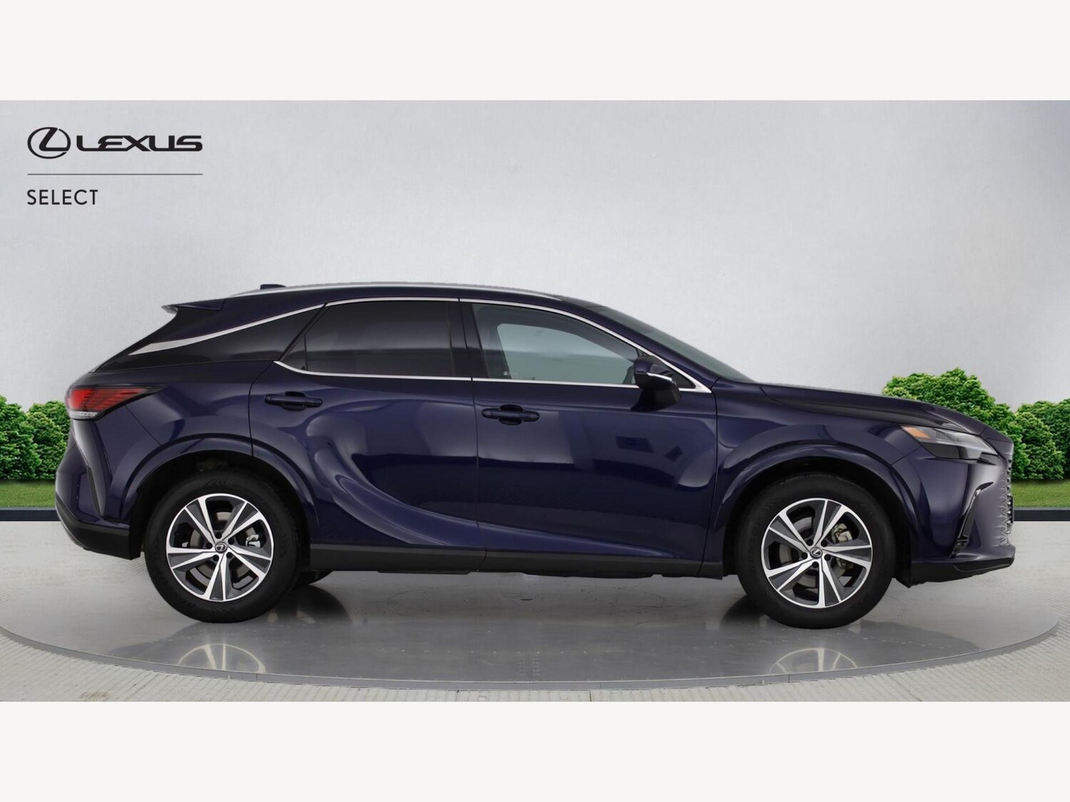 Used Lexus RX 2024 for sale - 77254668: Photo 18