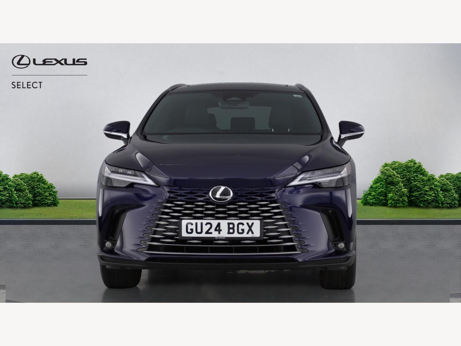 Used Lexus RX 2024 for sale - 77254668: Photo 6