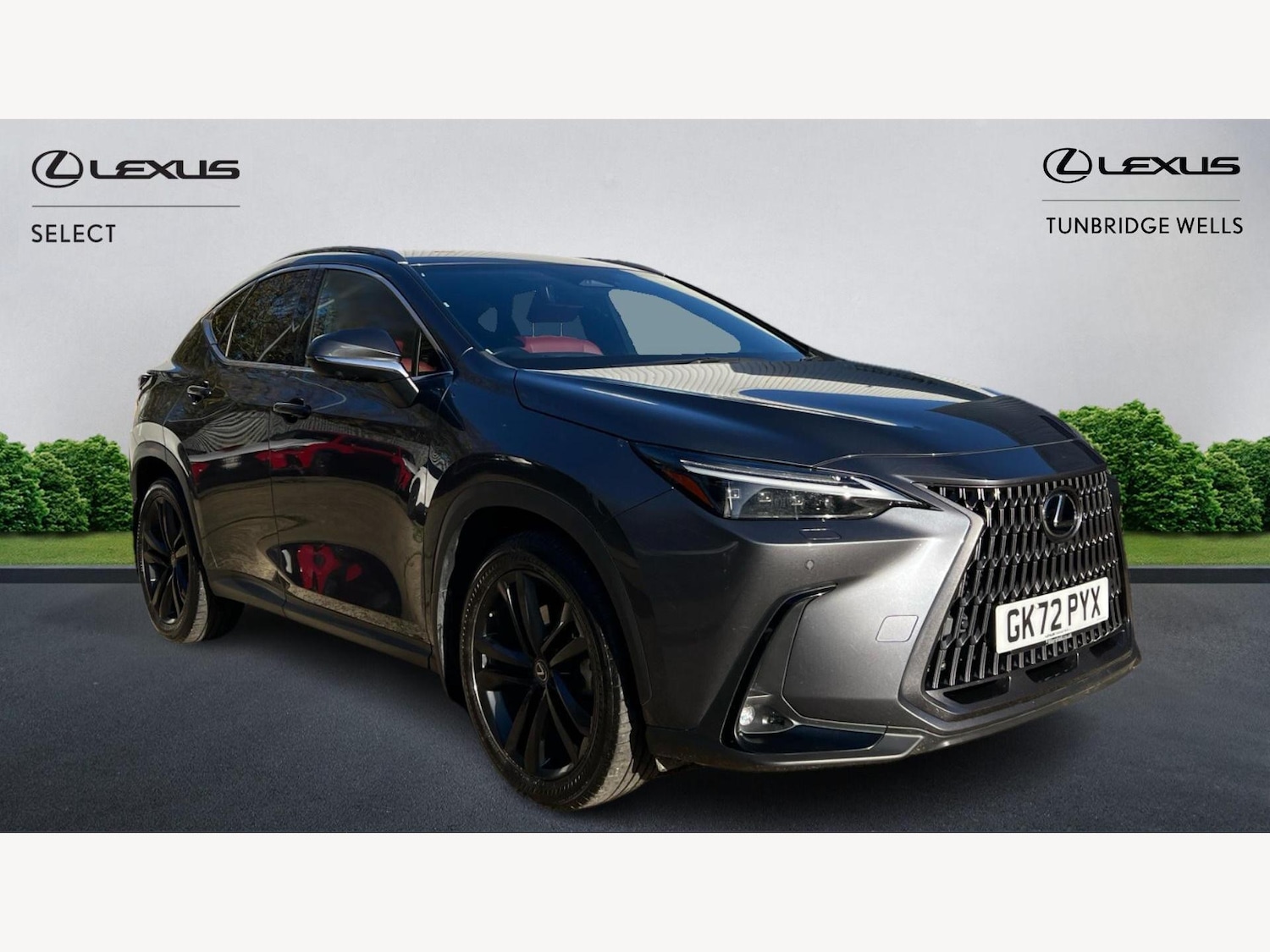 Used Lexus NX 2022 for sale - 76942336: Photo 1