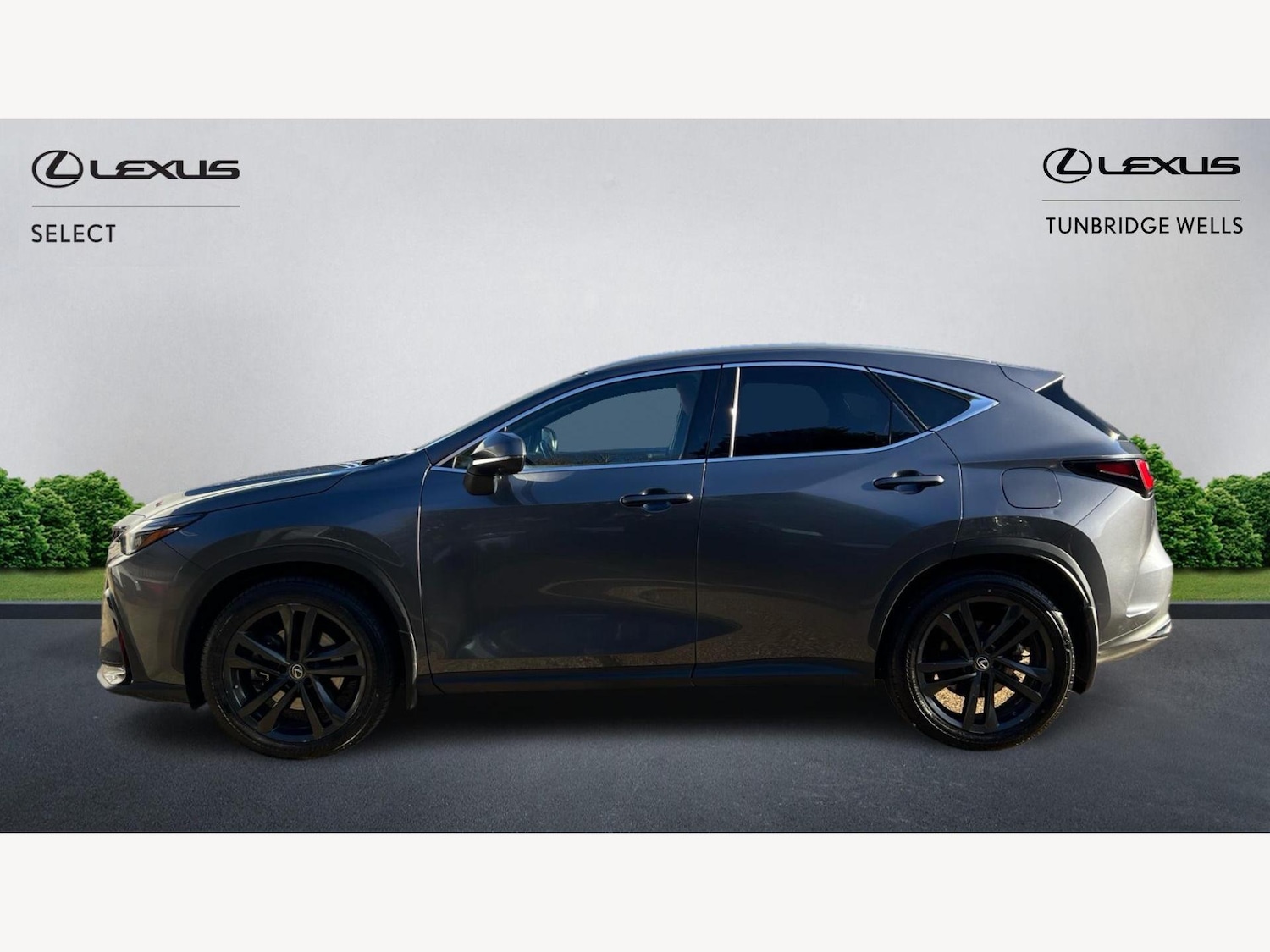 Used Lexus NX 2022 for sale - 76942336: Photo 3
