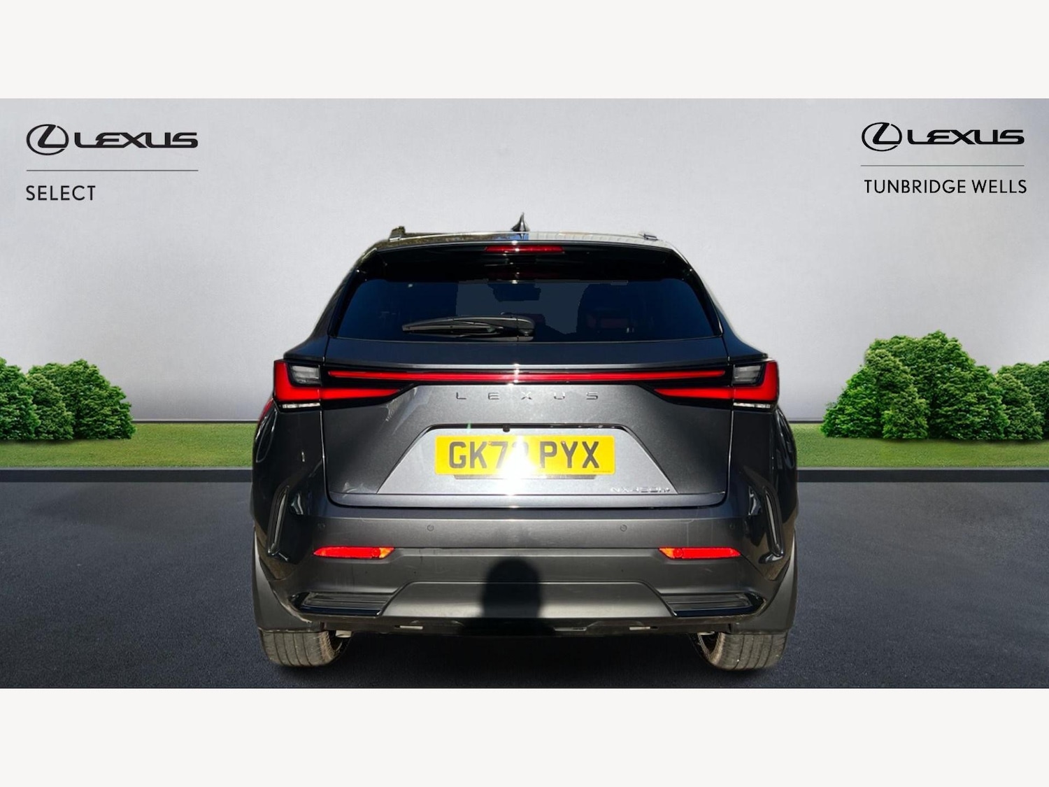 Used Lexus NX 2022 for sale - 76942336: Photo 7