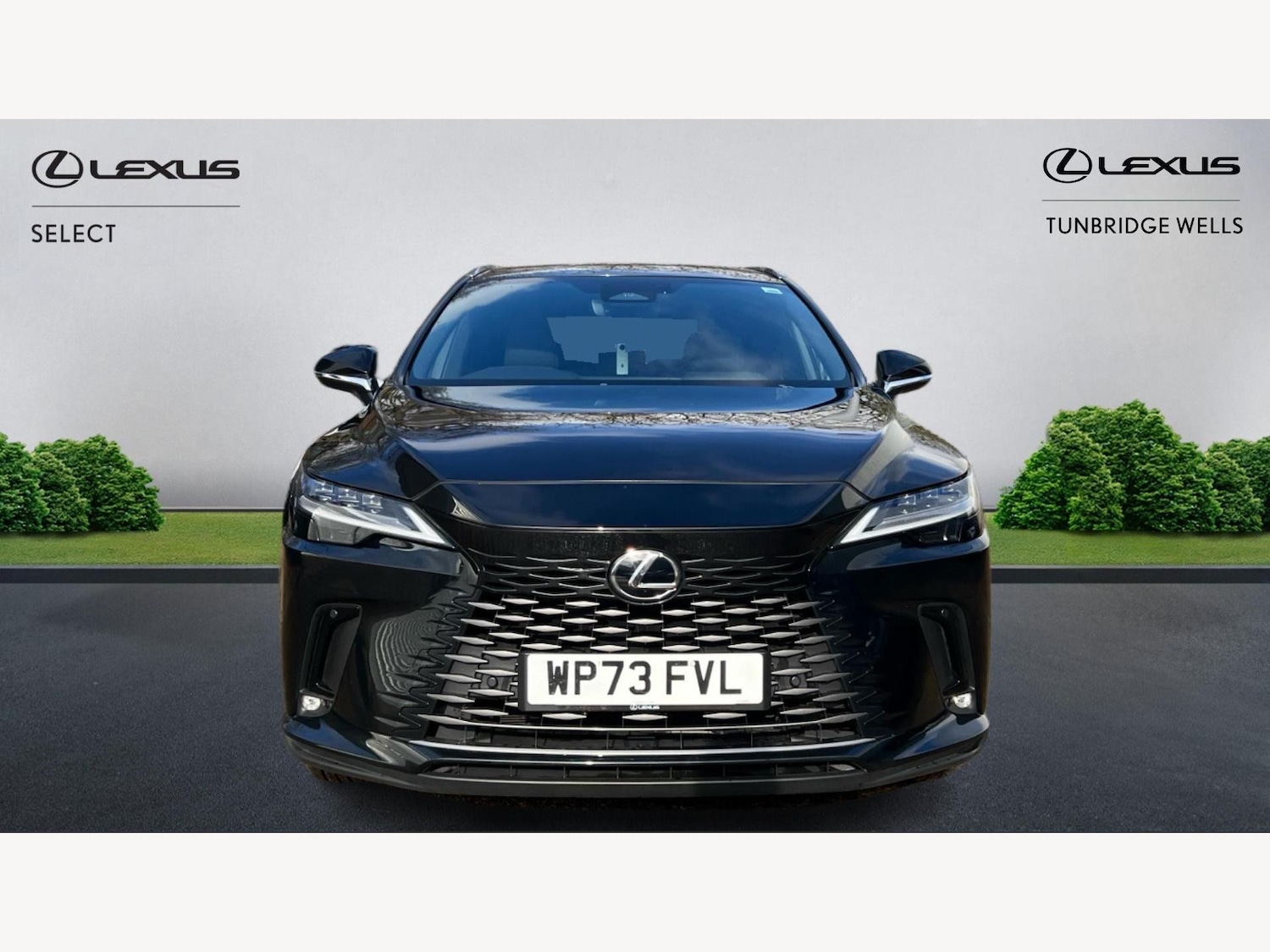 Used Lexus RX for sale - 77395658: Photo 6