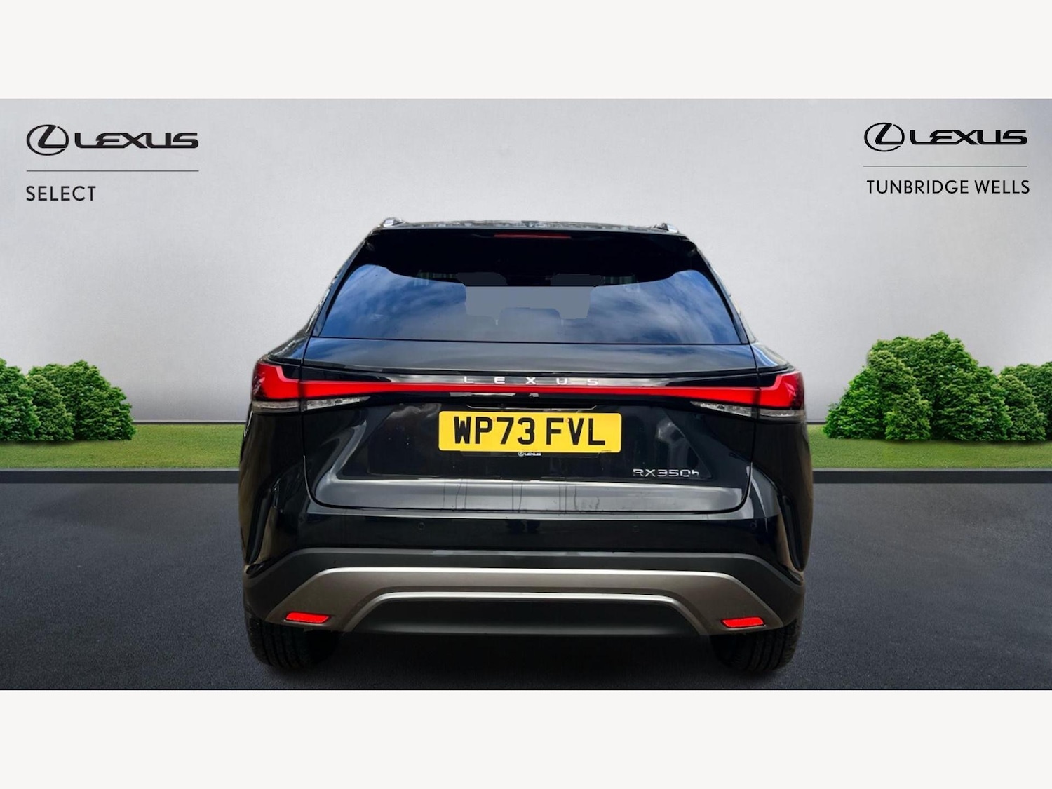 Used Lexus RX for sale - 77395658: Photo 7