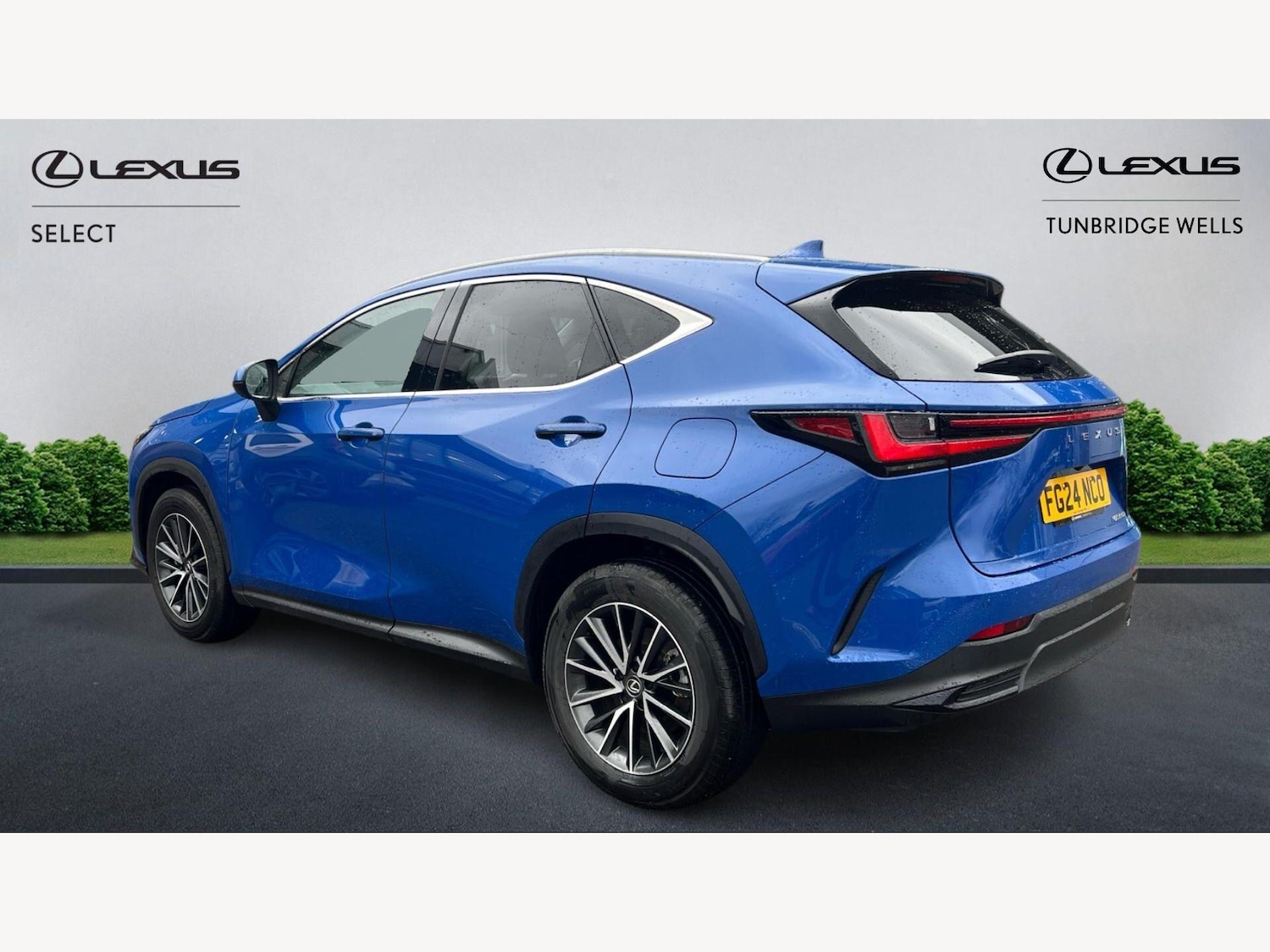 Used Lexus NX 2024 for sale - 77633337: Photo 2