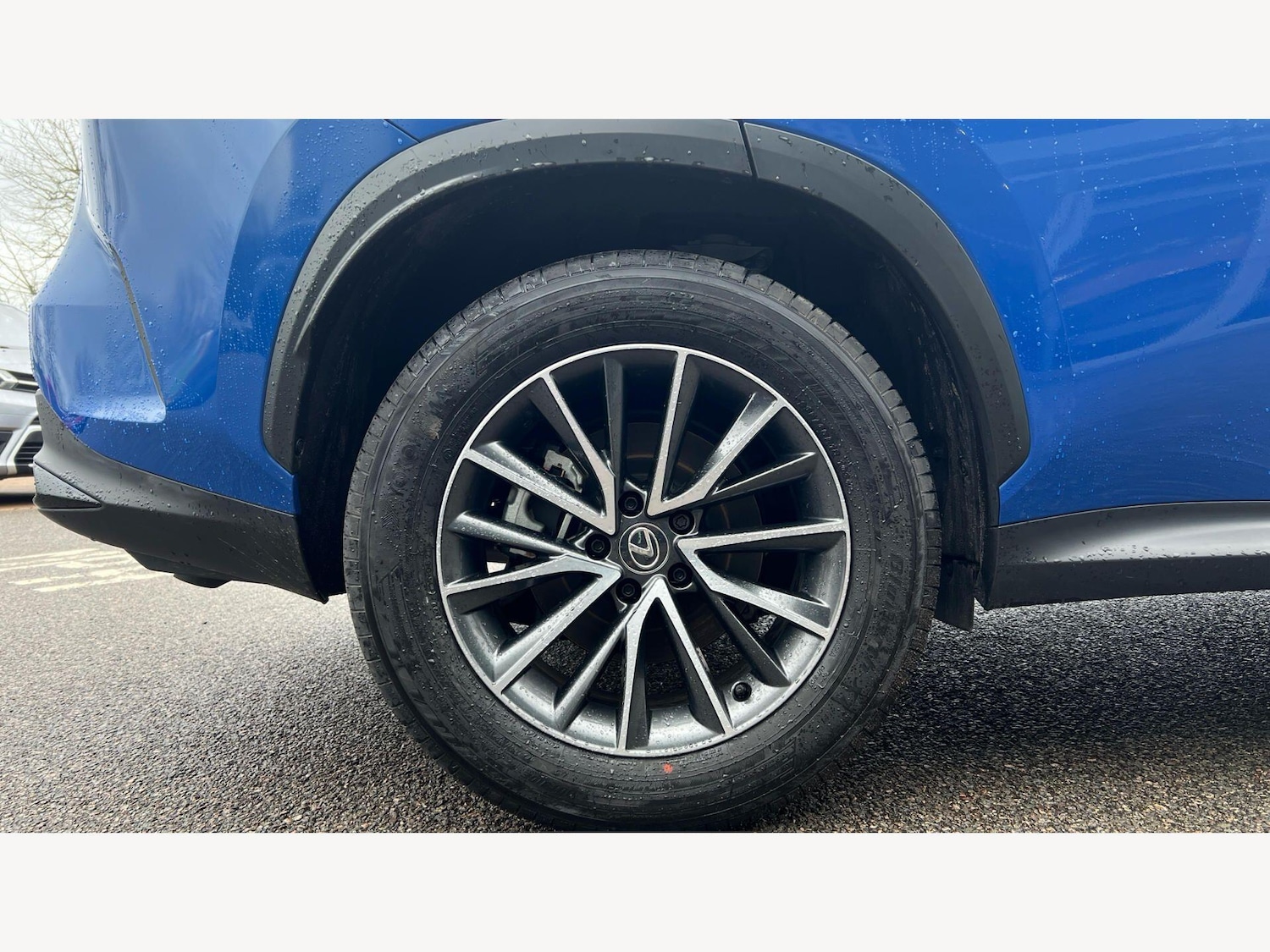 Used Lexus NX 2024 for sale - 77633337: Photo 21