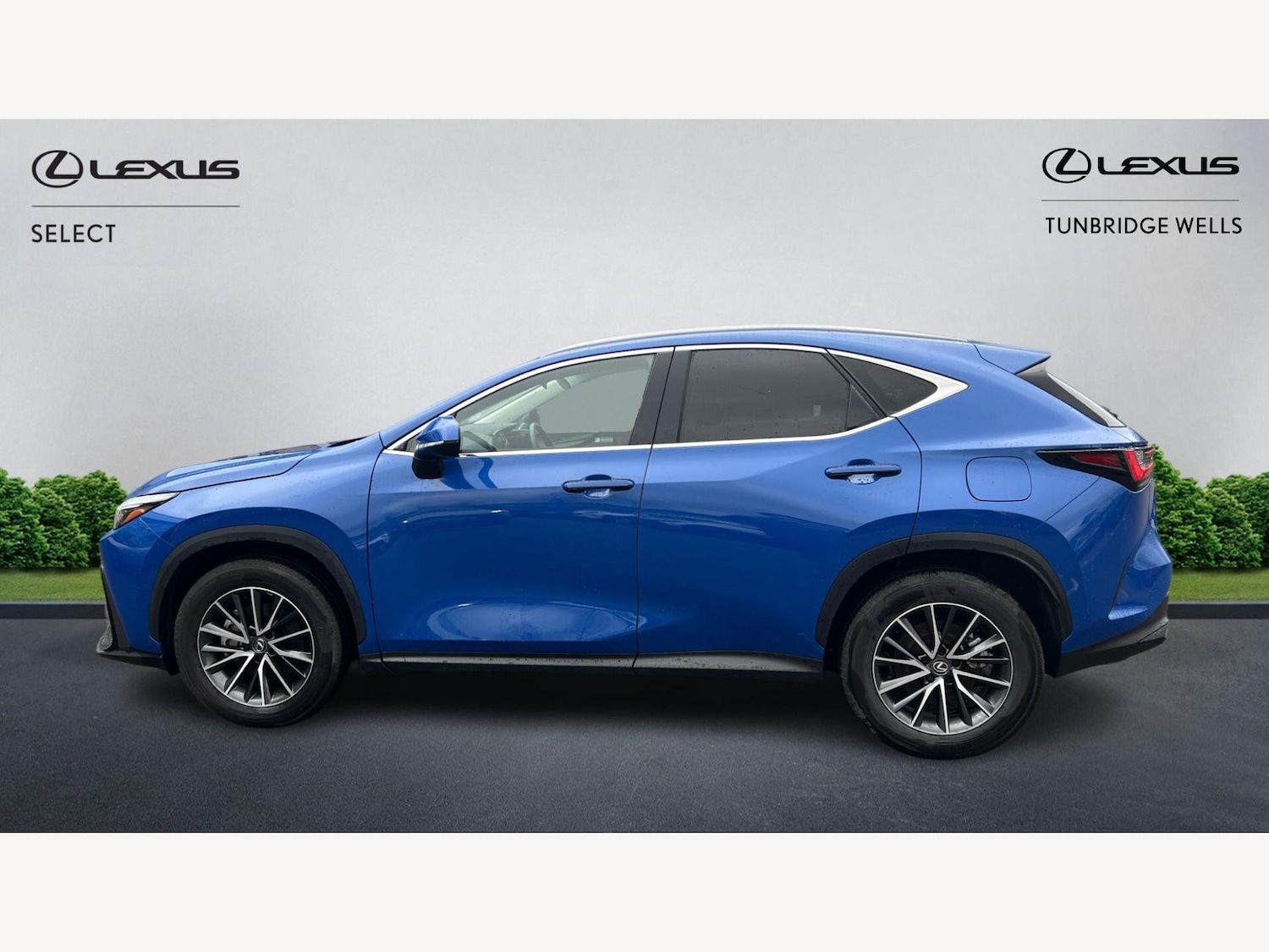 Used Lexus NX 2024 for sale - 77633337: Photo 3