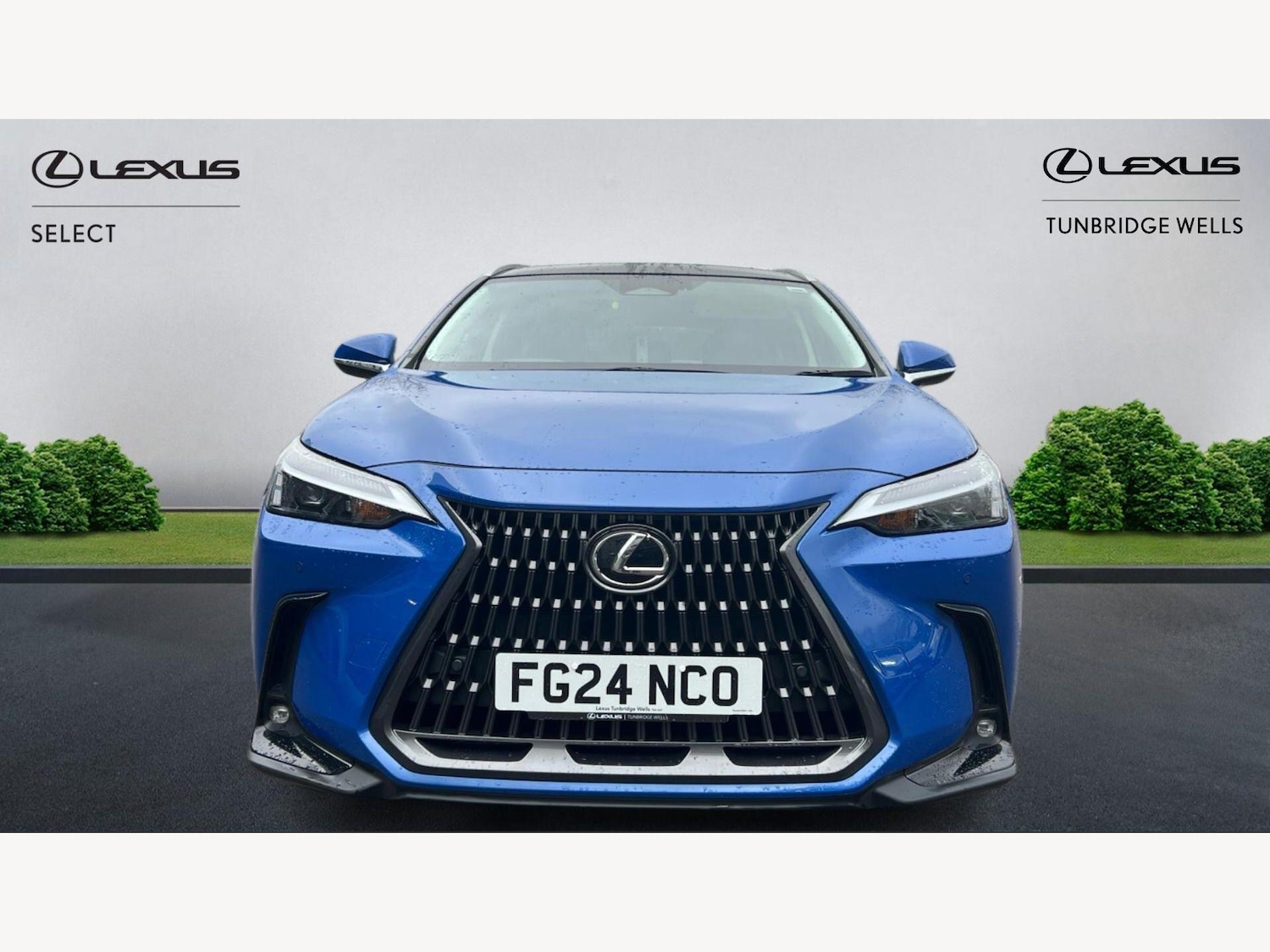 Used Lexus NX 2024 for sale - 77633337: Photo 6