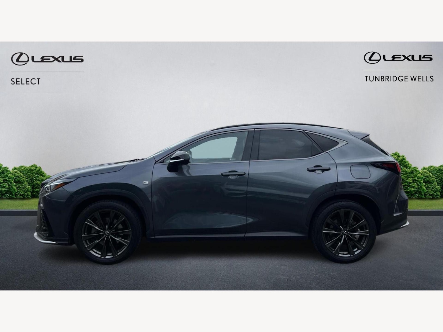 Used Lexus NX 2022 for sale - 77144700: Photo 3