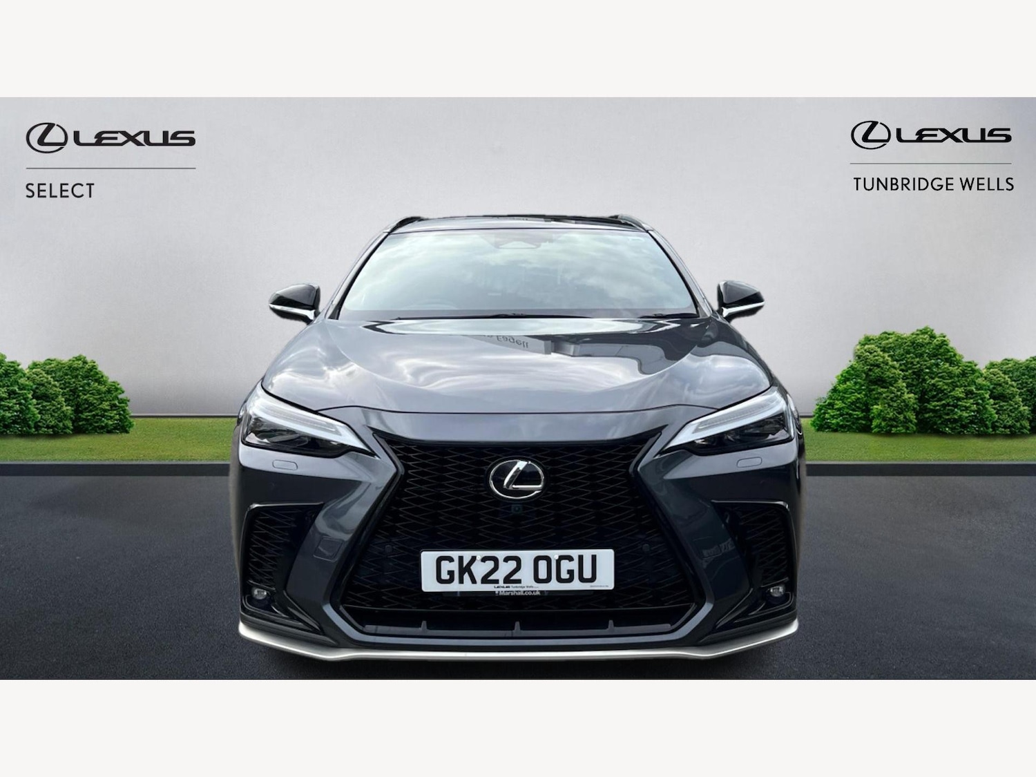 Used Lexus NX 2022 for sale - 77144700: Photo 6