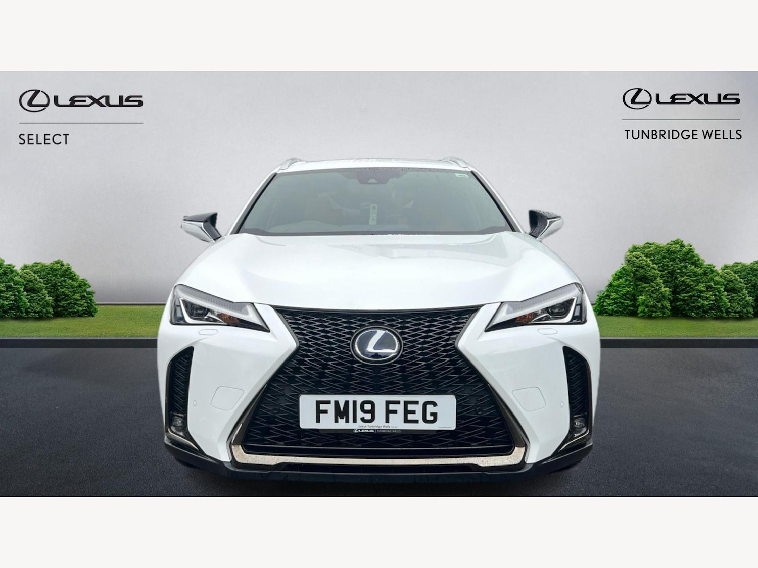 Used Lexus UX 2019 for sale - 77351506: Photo 6