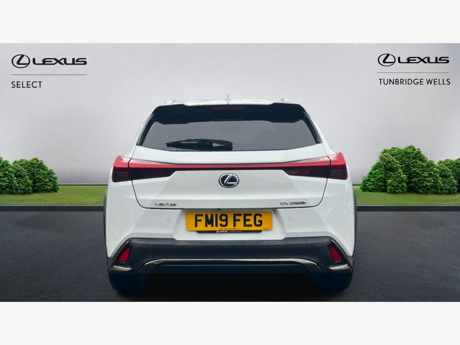 Used Lexus UX 2019 for sale - 77351506: Photo 7