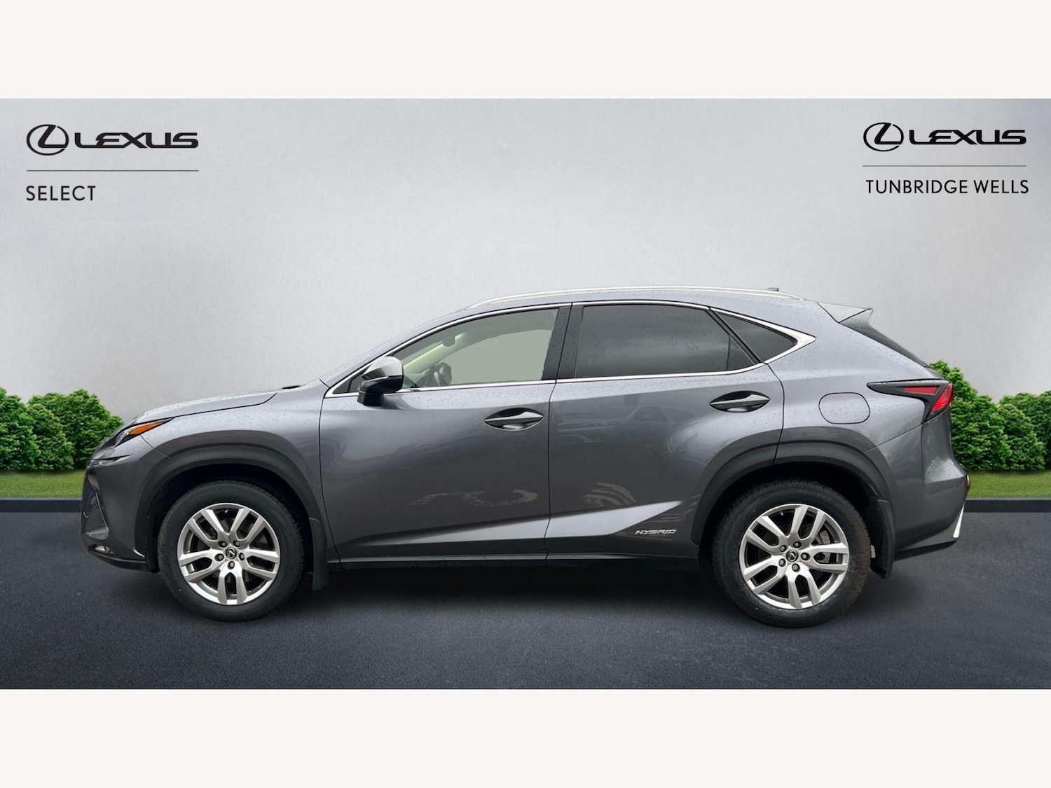 Used Lexus NX 2018 for sale - 77646346: Photo 3