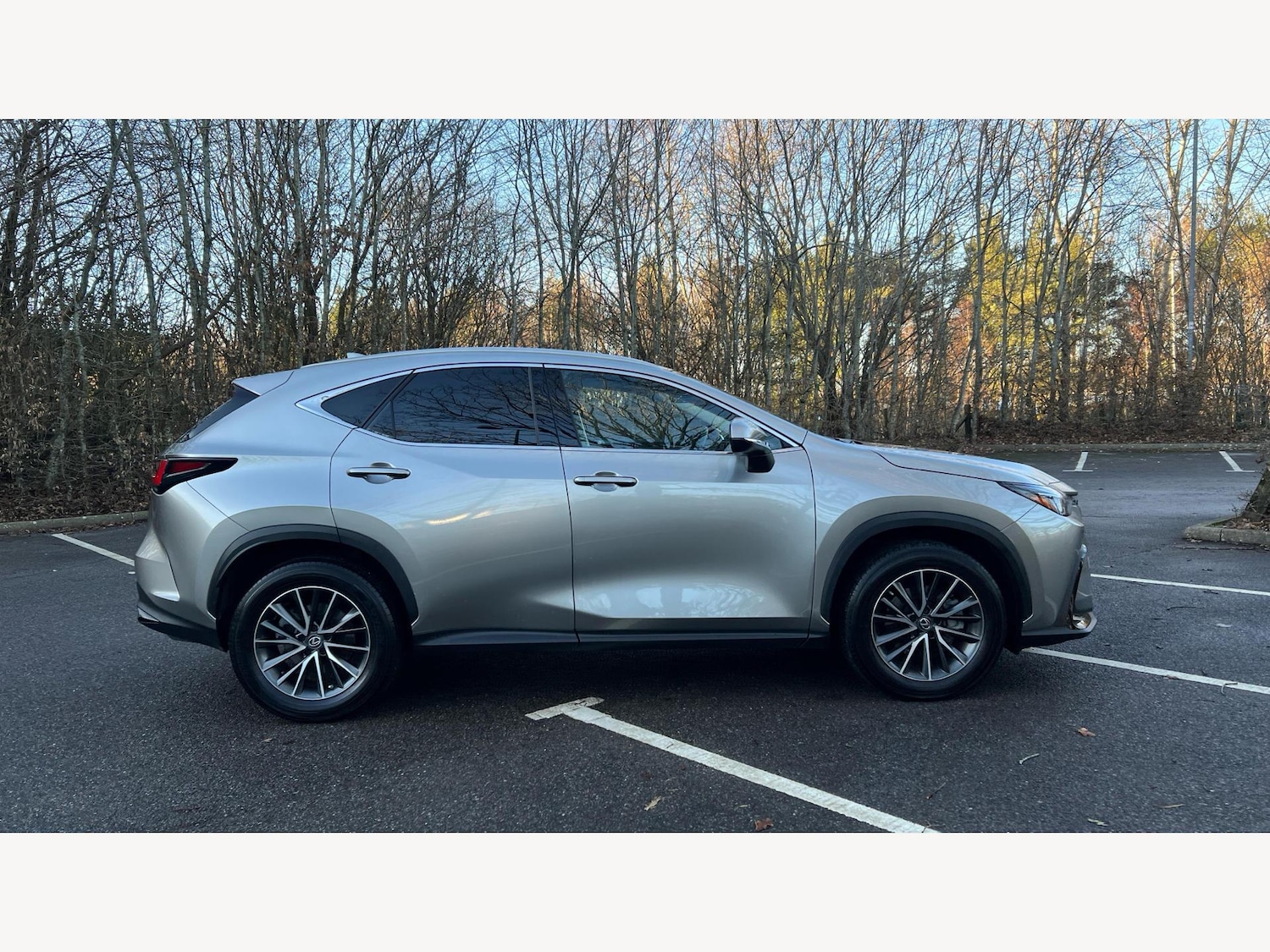 Used Lexus NX 2023 for sale - 77097879: Photo 18