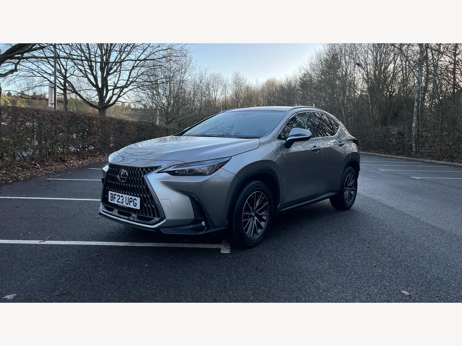 Used Lexus NX 2023 for sale - 77097879: Photo 19