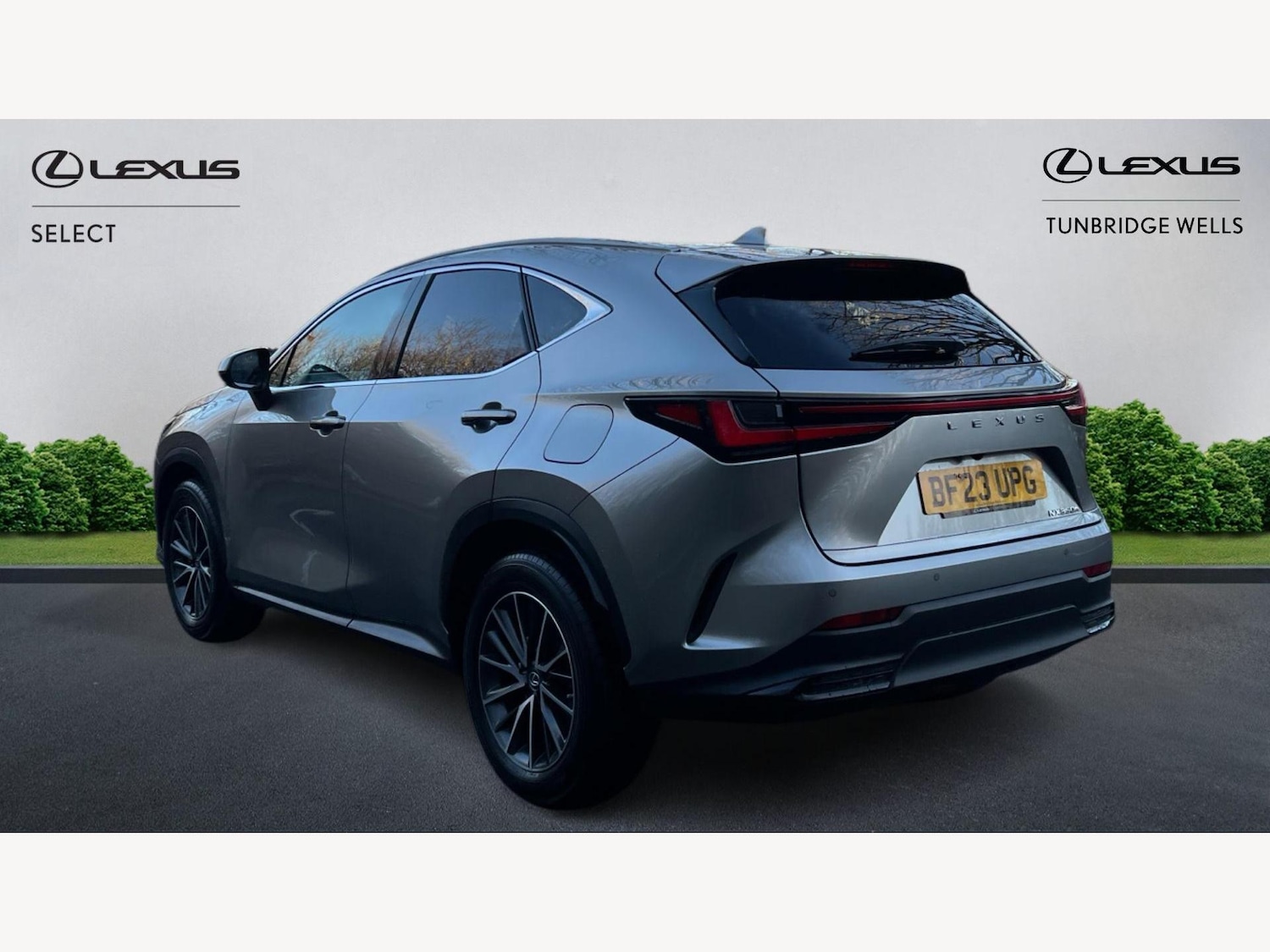 Used Lexus NX 2023 for sale - 77097879: Photo 2