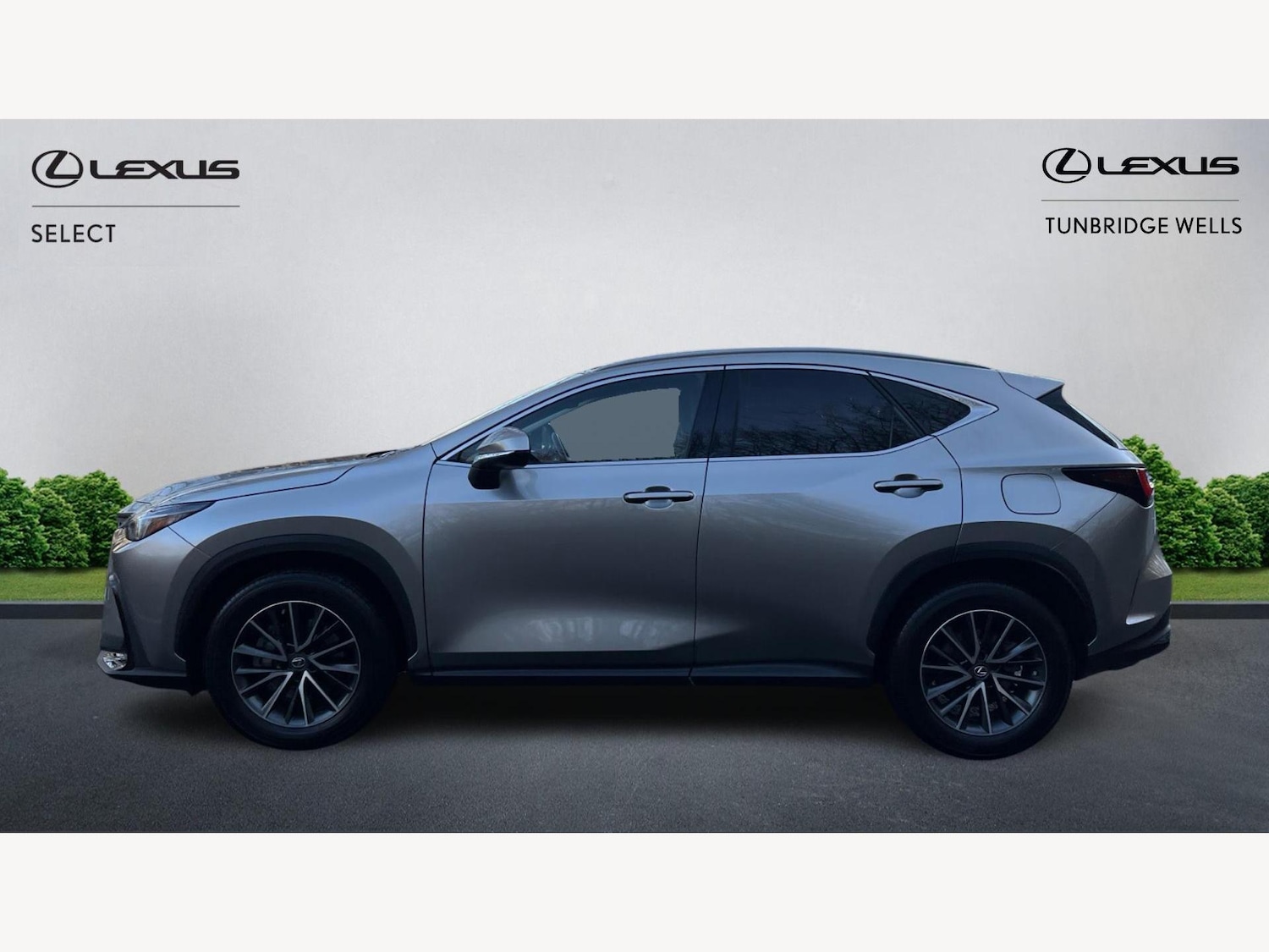 Used Lexus NX 2023 for sale - 77097879: Photo 3