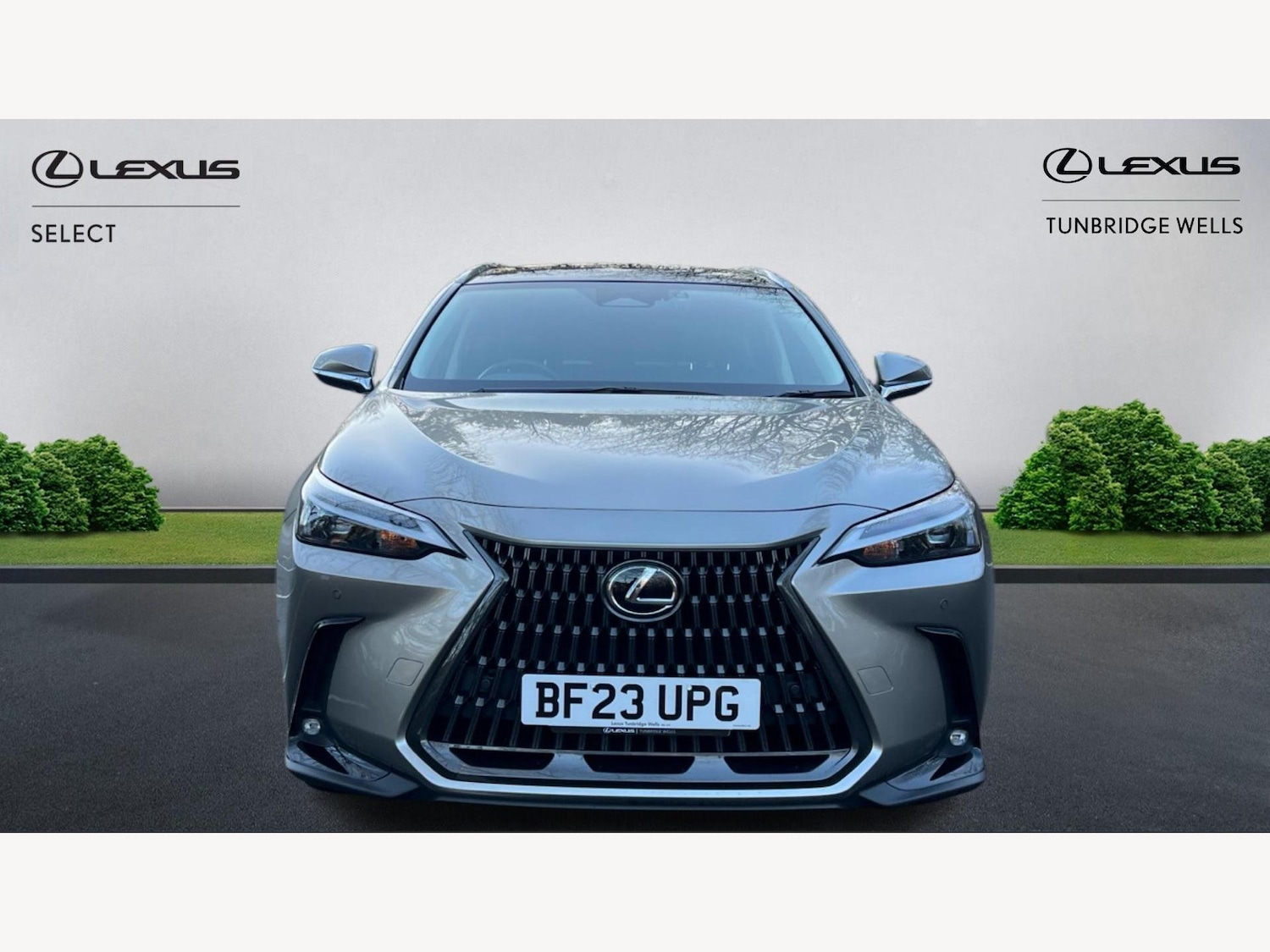 Used Lexus NX 2023 for sale - 77097879: Photo 6