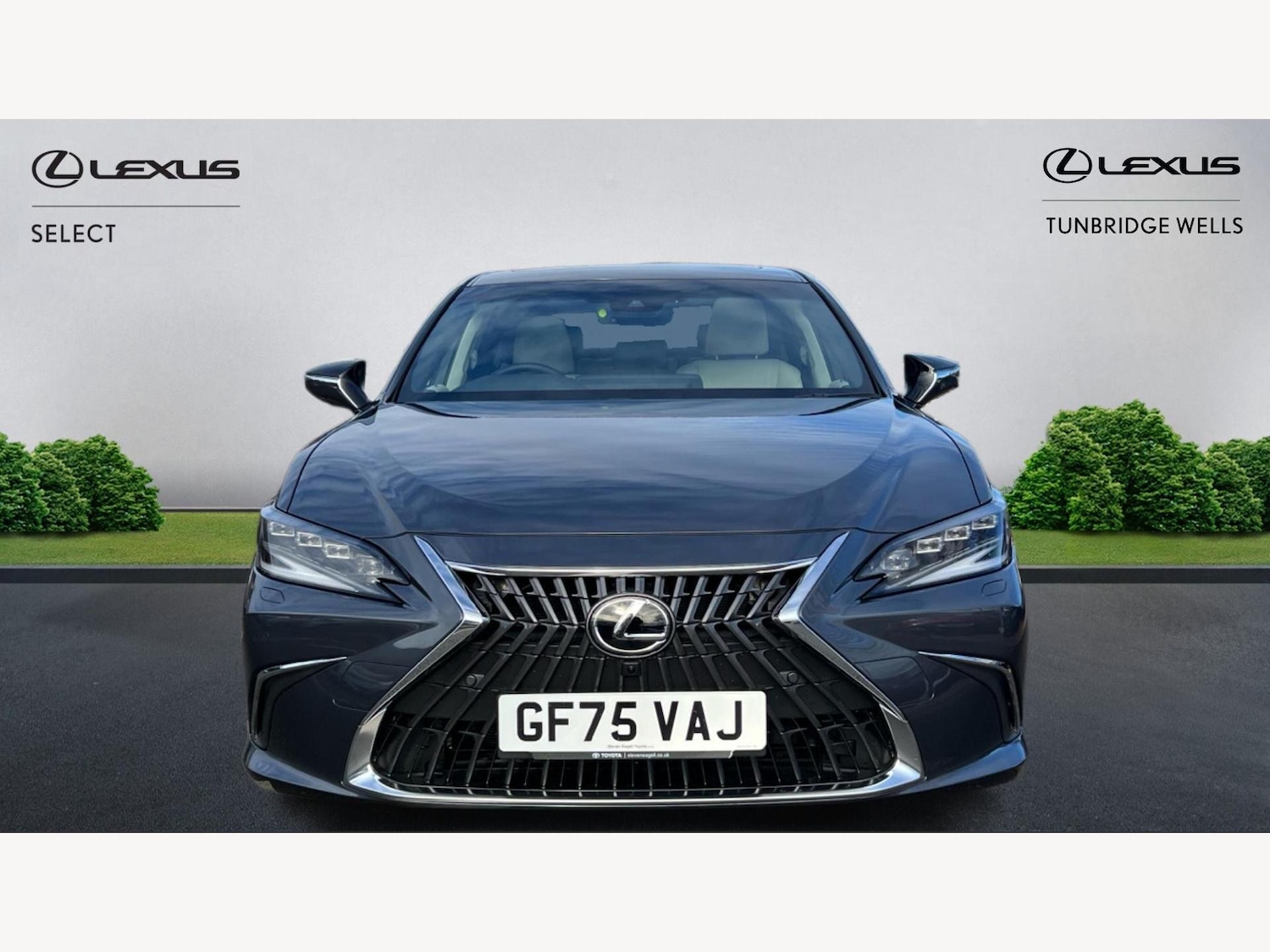 Used Lexus ES 2025 for sale - 77091278: Photo 6