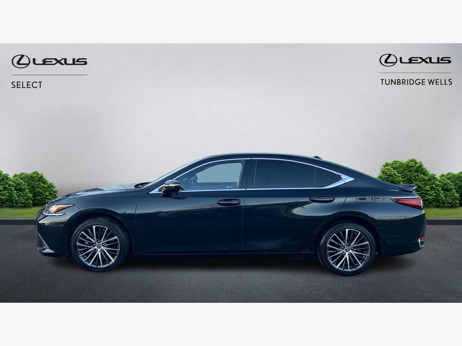 Used Lexus ES 2024 for sale - 77097399: Photo 3