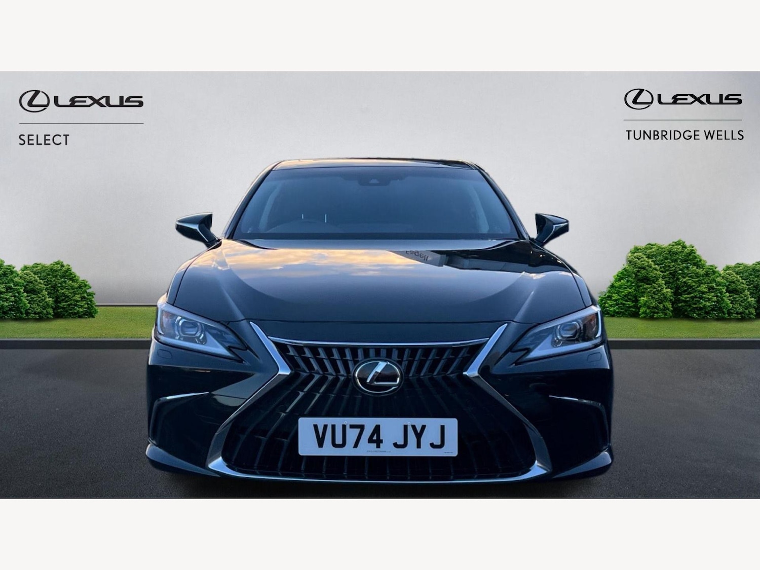 Used Lexus ES 2024 for sale - 77097399: Photo 6