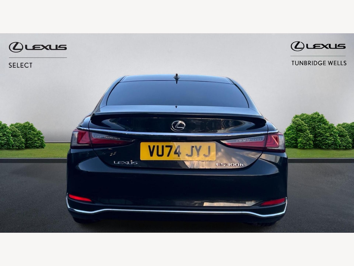 Used Lexus ES 2024 for sale - 77097399: Photo 7