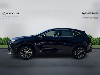 Used Lexus NX 2023 for sale - 78384098: Photo