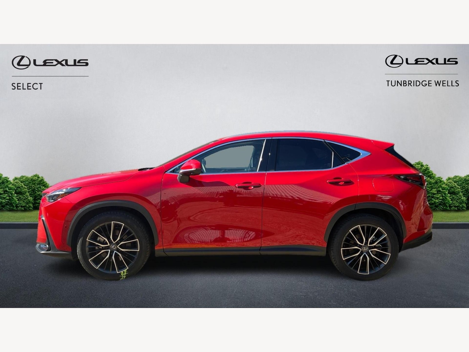 Used Lexus NX 2023 for sale - 76314325: Photo 3