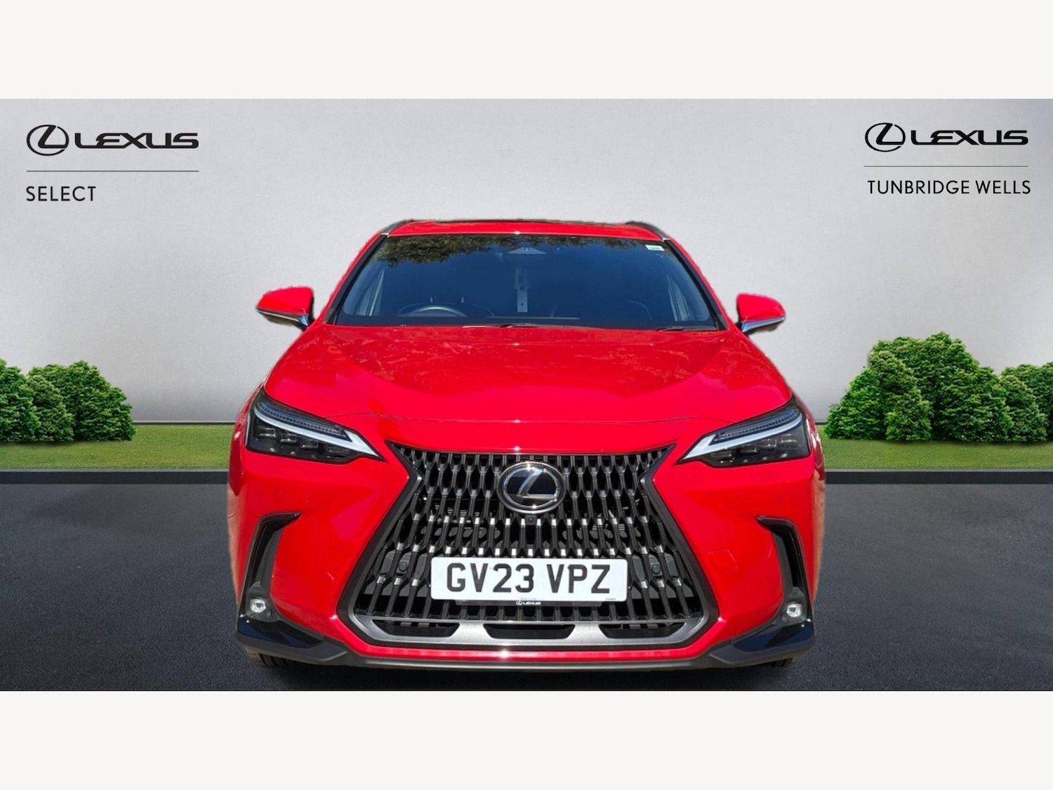 Used Lexus NX 2023 for sale - 76314325: Photo 6