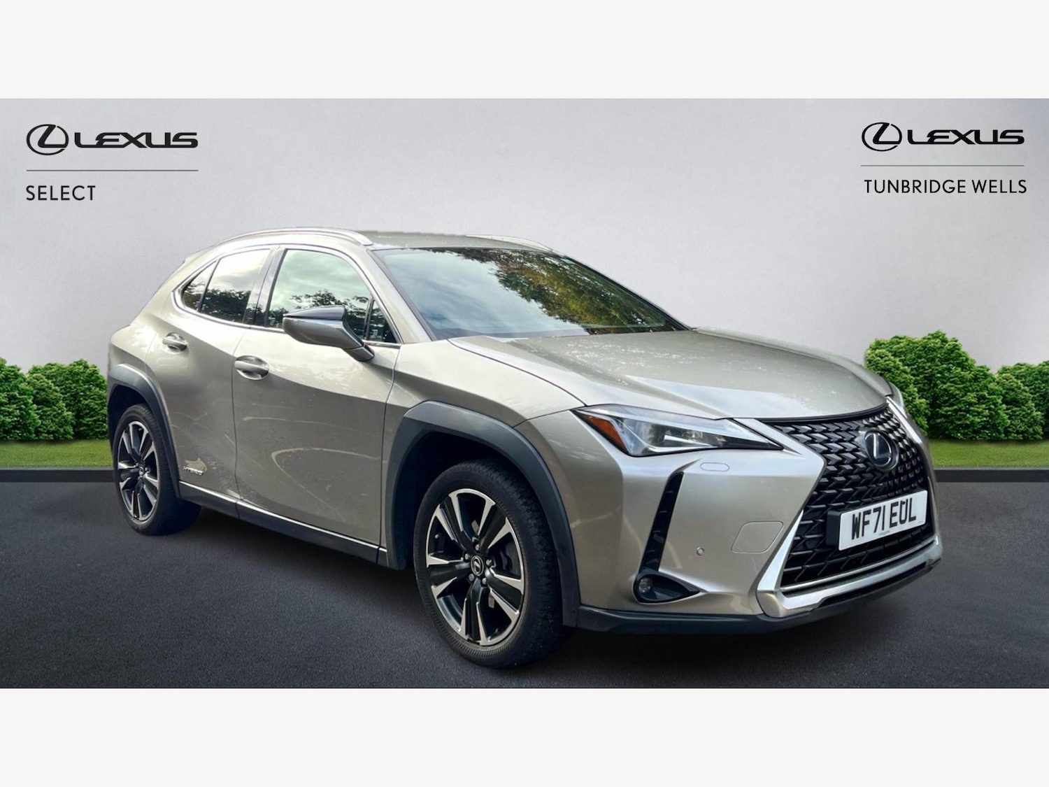 Used Lexus UX 2021 for sale - 76499180: Photo 1