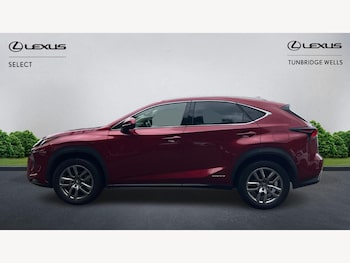 Used Lexus NX 2019 for sale - 75645847: Photo