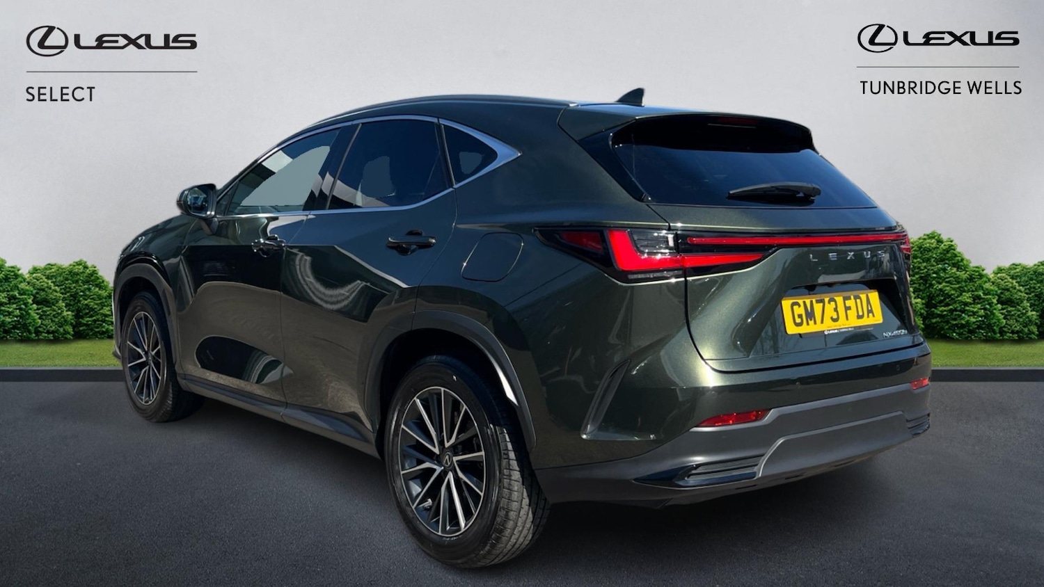 Used Lexus NX 2024 for sale - 78185225: Photo 2