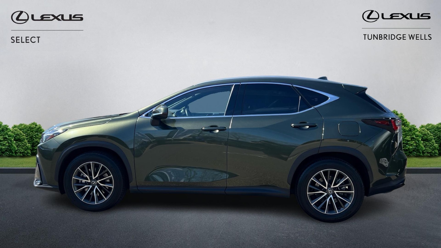 Used Lexus NX 2024 for sale - 78185225: Photo 3