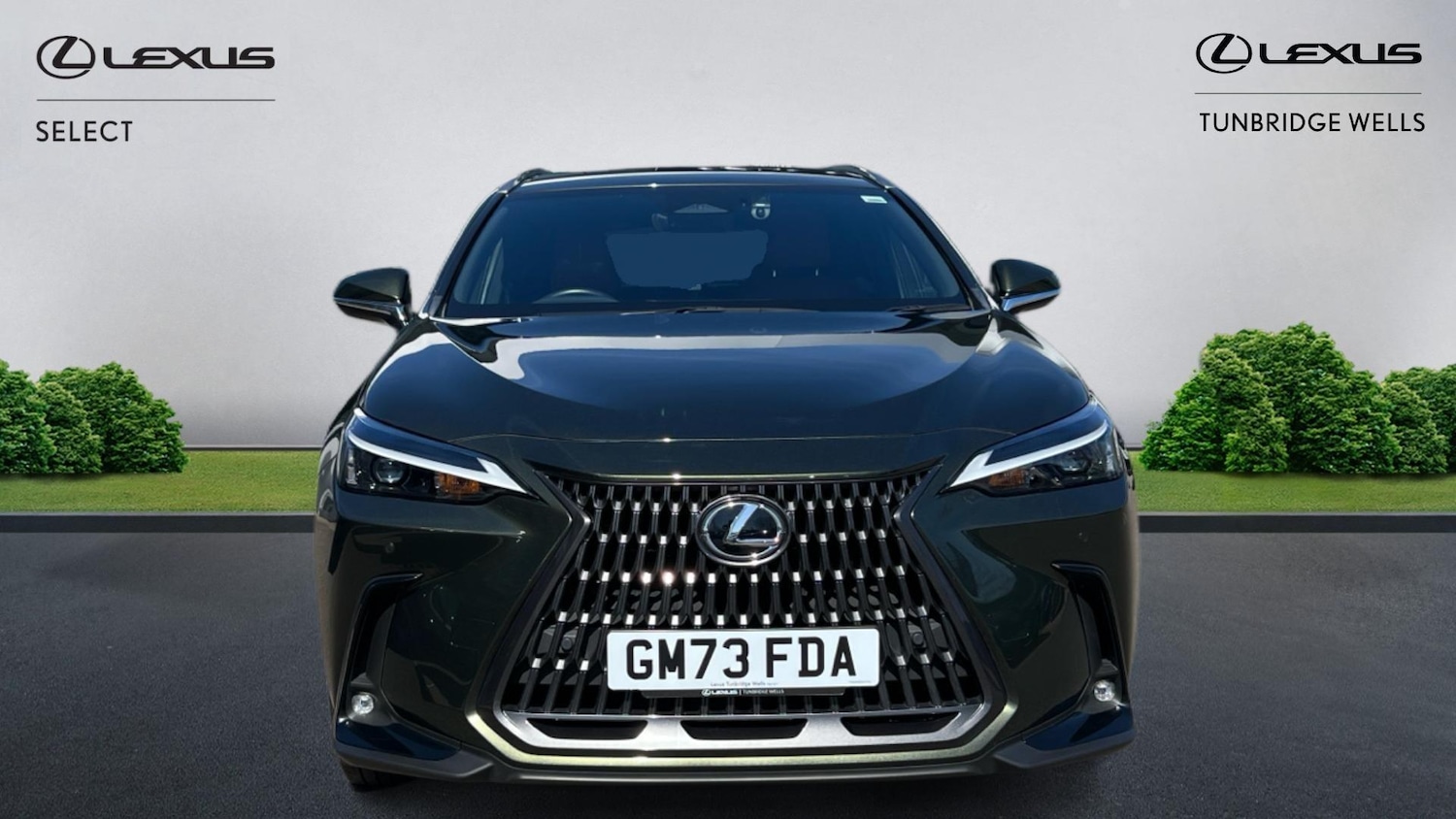 Used Lexus NX 2024 for sale - 78185225: Photo 4